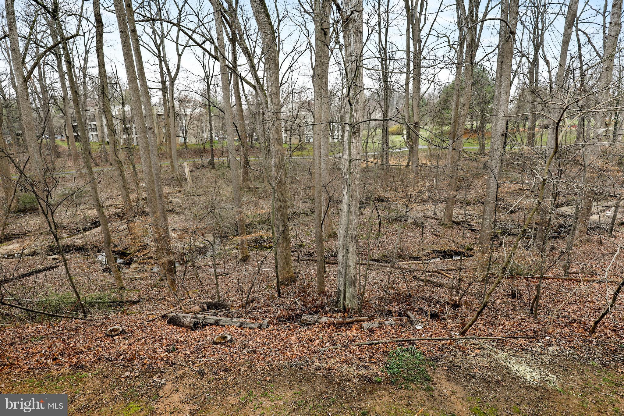VILLAGE OF HICKORY RIDGE - Residential