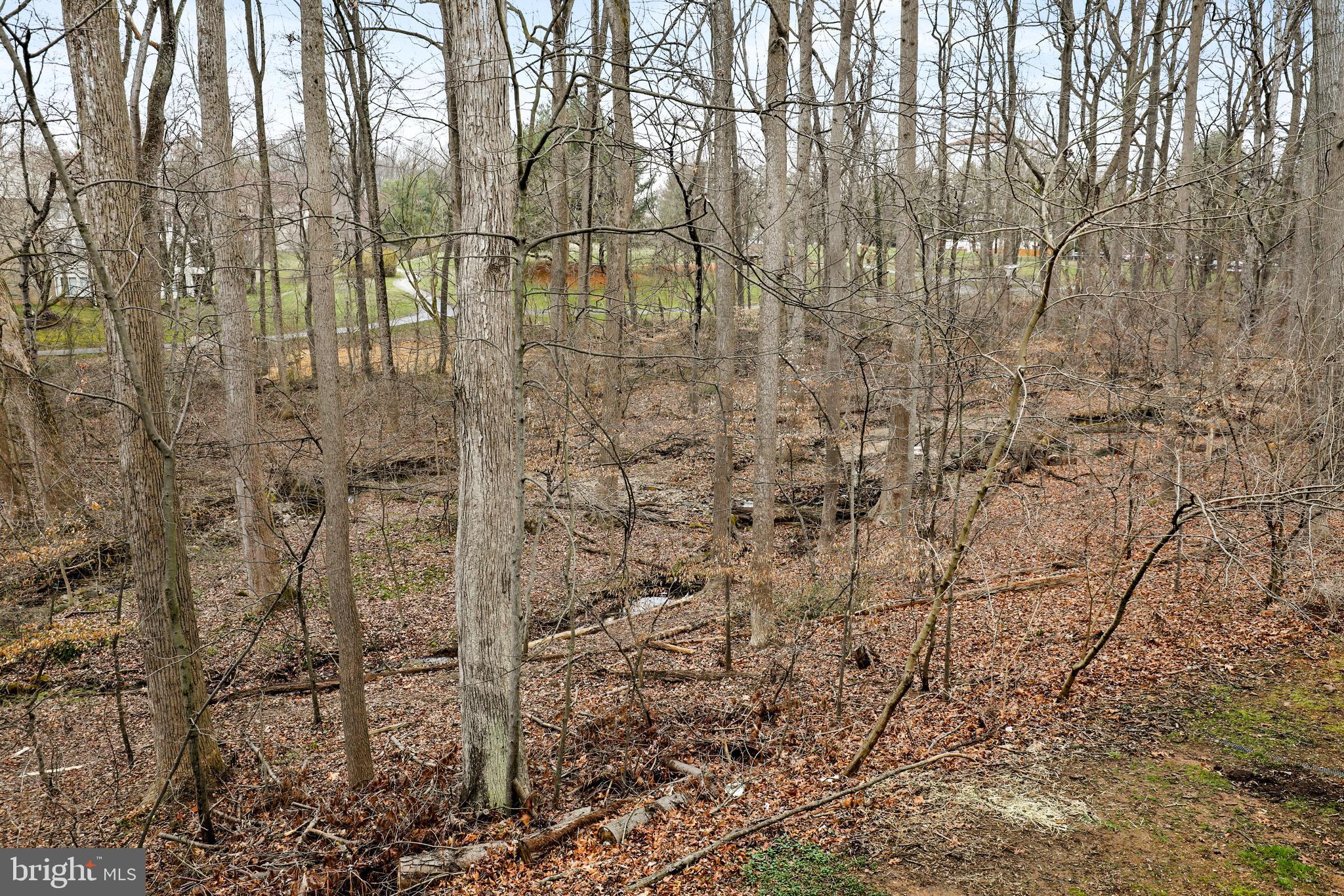 VILLAGE OF HICKORY RIDGE - Residential
