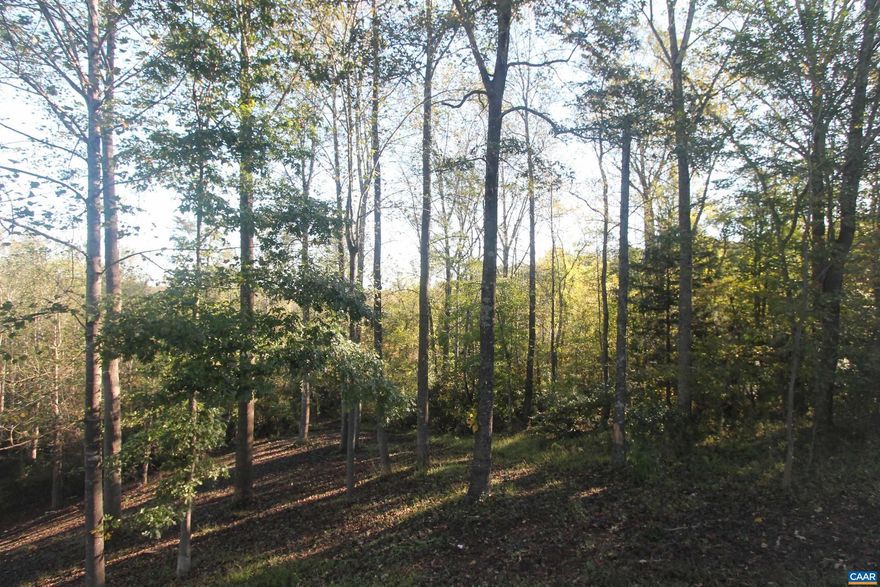 Beautiful, partly wooded 2-acre lot featuring an unfinished cottage. The cottage is equipped with electricity and awaits a new owner to install a well and septic system. A well permit is already in place, and soil testing has been completed. The lot is surrounded by trees and offers stunning views in the Batesville community area.  The A-frame cottage includes bamboo flooring, a mini-split heating and cooling system, new 200-amp electrical service, and ample natural light. You can enjoy the privacy of this partly open and wooded land from the covered deck.  Additionally, a new driveway provides easy access to the property.