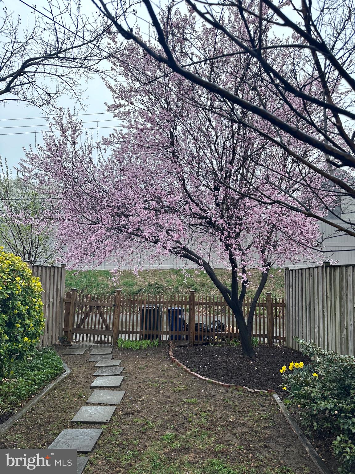 KENWOOD TOWERS - Residential