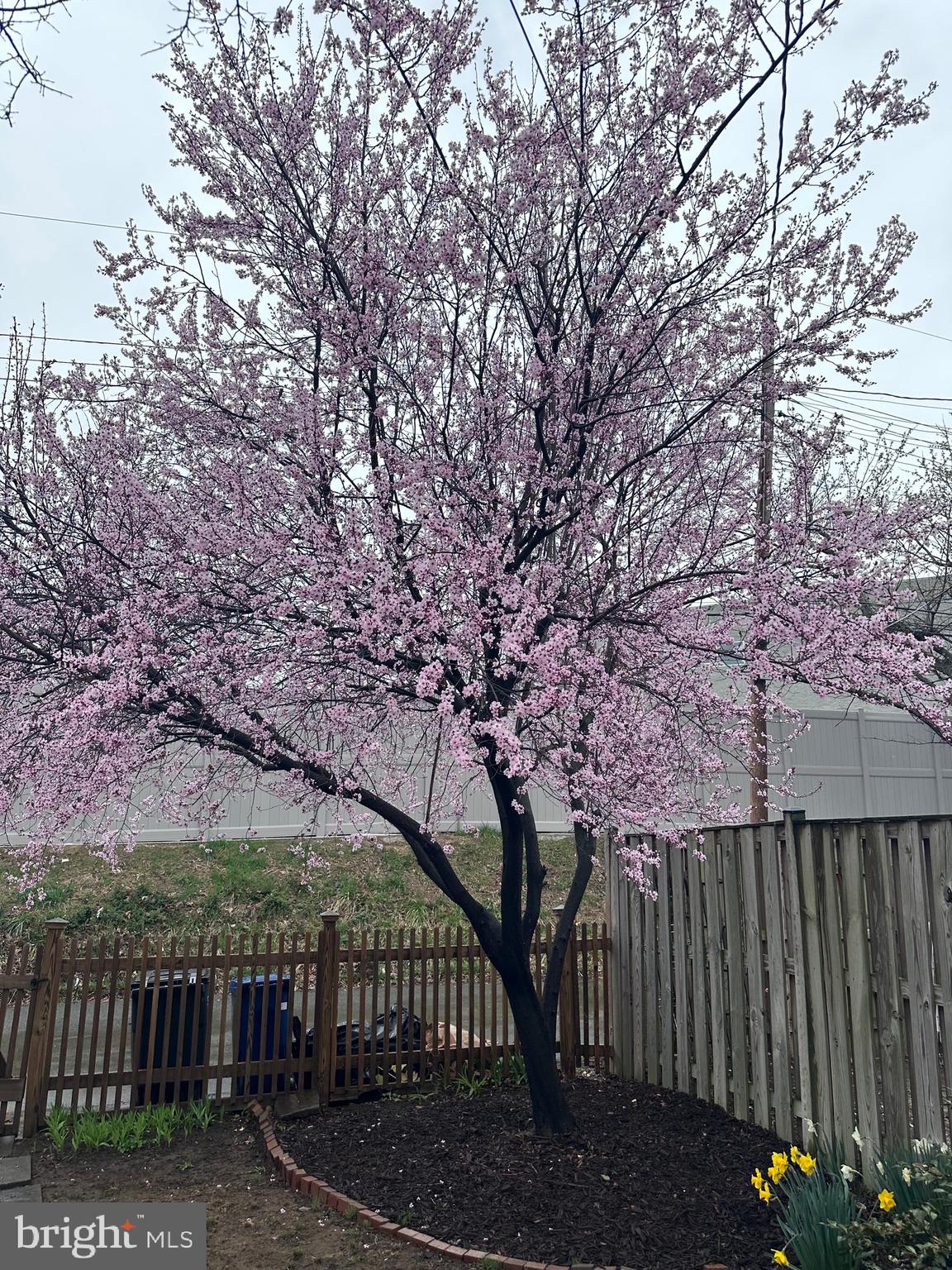 KENWOOD TOWERS - Residential