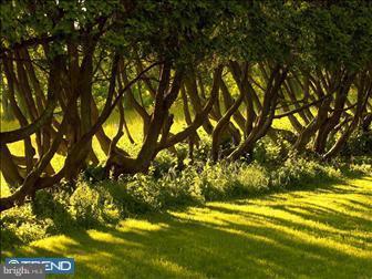 BUCKINGHAM - Residential