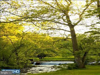 BUCKINGHAM - Residential