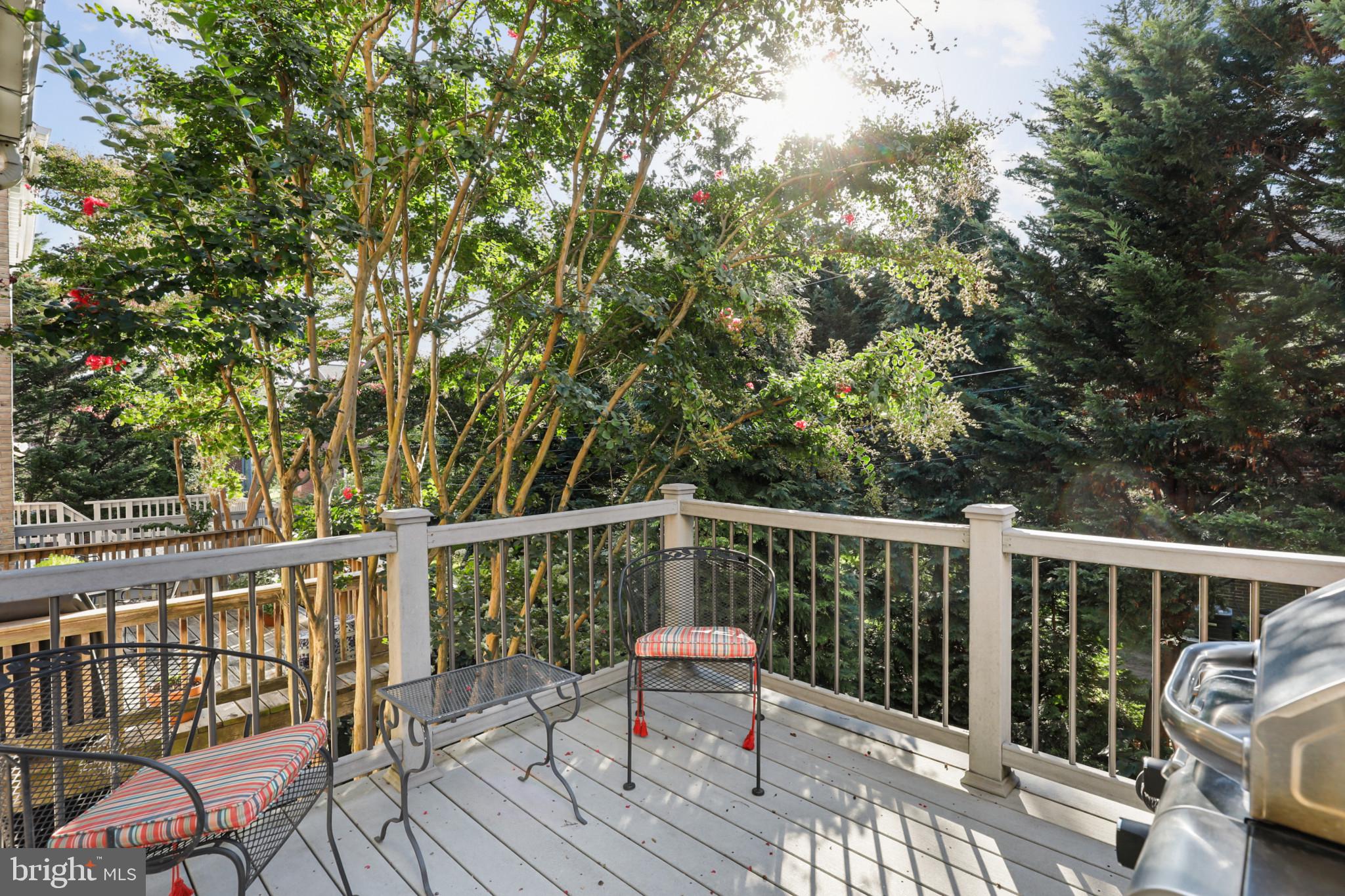 STEVENSON MEWS - Residential