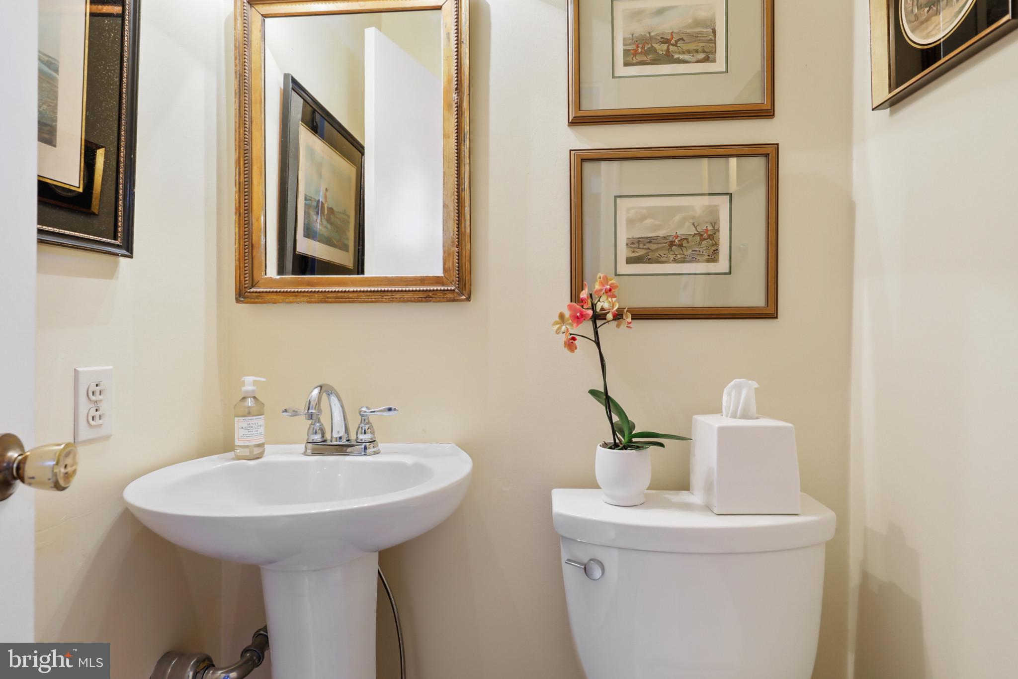 STEVENSON MEWS - Residential