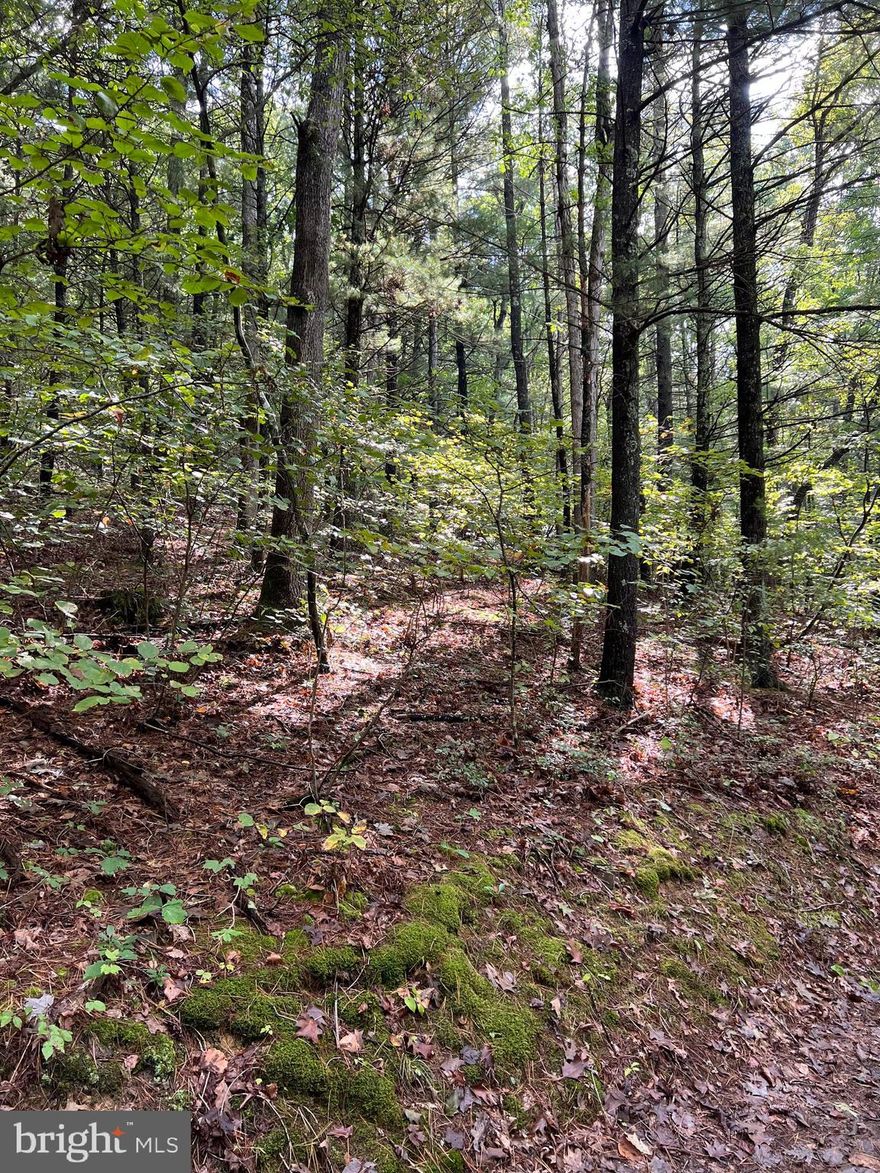 ***Seller Financing Available*** Terms as follows: $10,000.00 down or more, 5% interest, 6 year term,  with option to pay off early, Approximate payment of $483.15 monthly with the $10,000.00 down, Trump and Trump for closing and they will draw up the terms.

 Beautiful 4.50 Acres of raw unrestricted land in the Allen District of Morgan County in Berkeley Springs, WV.  You can feel the peacefulness it brings as you walk this land. This land has a lot of possibilities due to being unrestricted. The land is surveyed, you will be able to use the markers to figure out the lay out. You can build your new home and sell the wood if you wanted to, again lots of possibilities. The Main road to the property has been fixed. No well or Septic/Sewer, There is electric service that surrounds the property, but no electric to the property at this time, should not be hard to have electric put in. Semi-secluded, a few homes around. Not far from Berkeley Springs, Hancock,  Martinsburg or I-70. It is a must see!!!