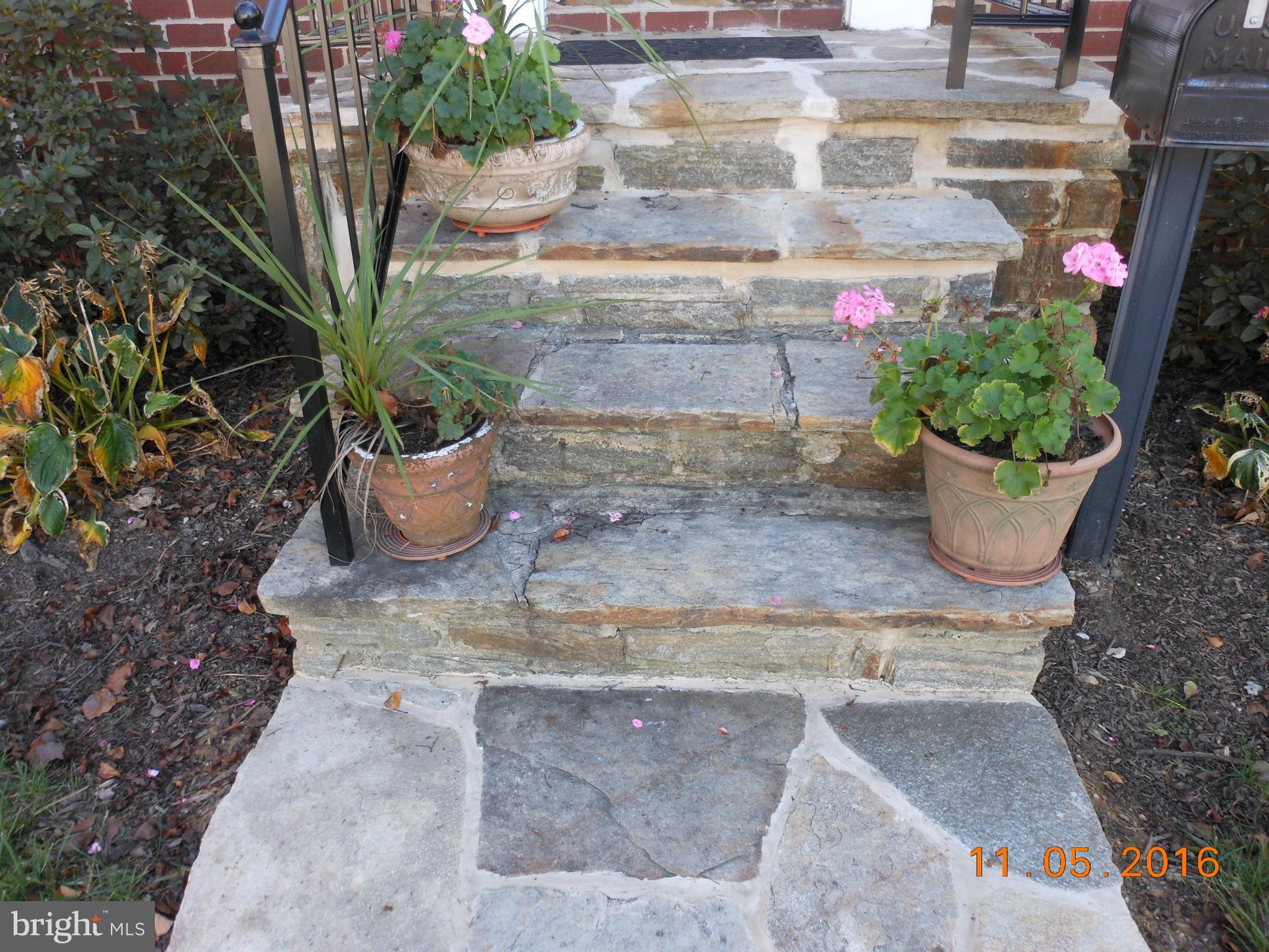 DOGWOOD - Residential