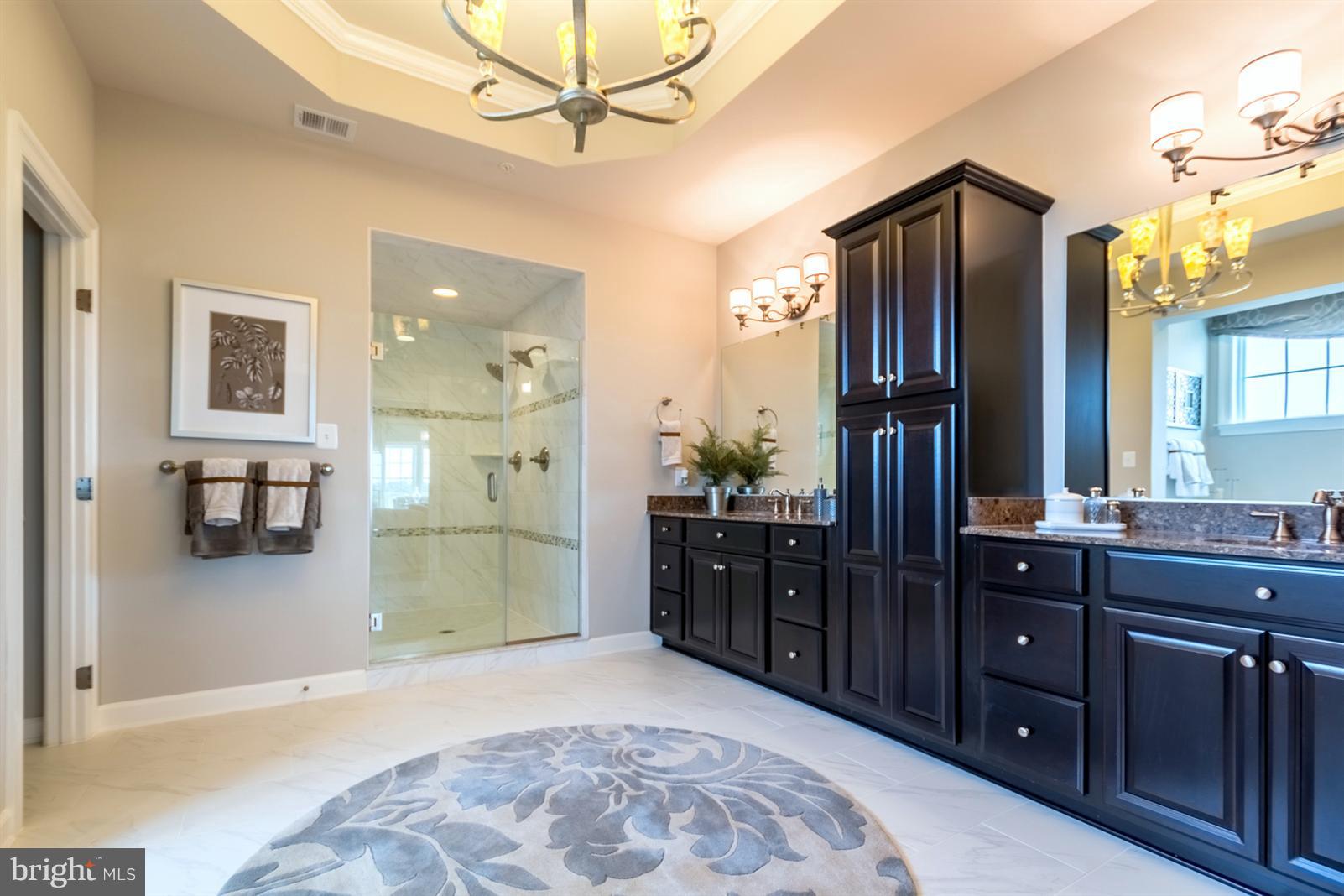 THE PRESERVE AT CLARKSBURG - Residential