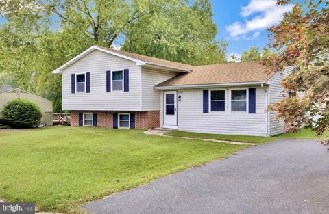 7287 SHIRLEY DRIVE EASTON MD 21601