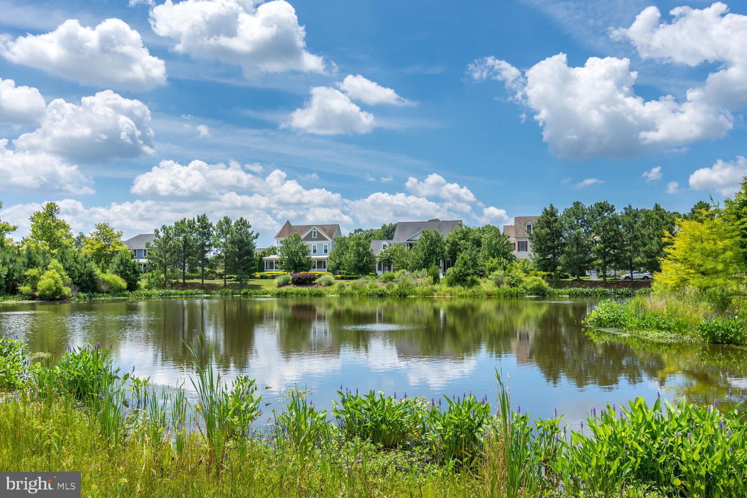 EASTON VILLAGE - Residential