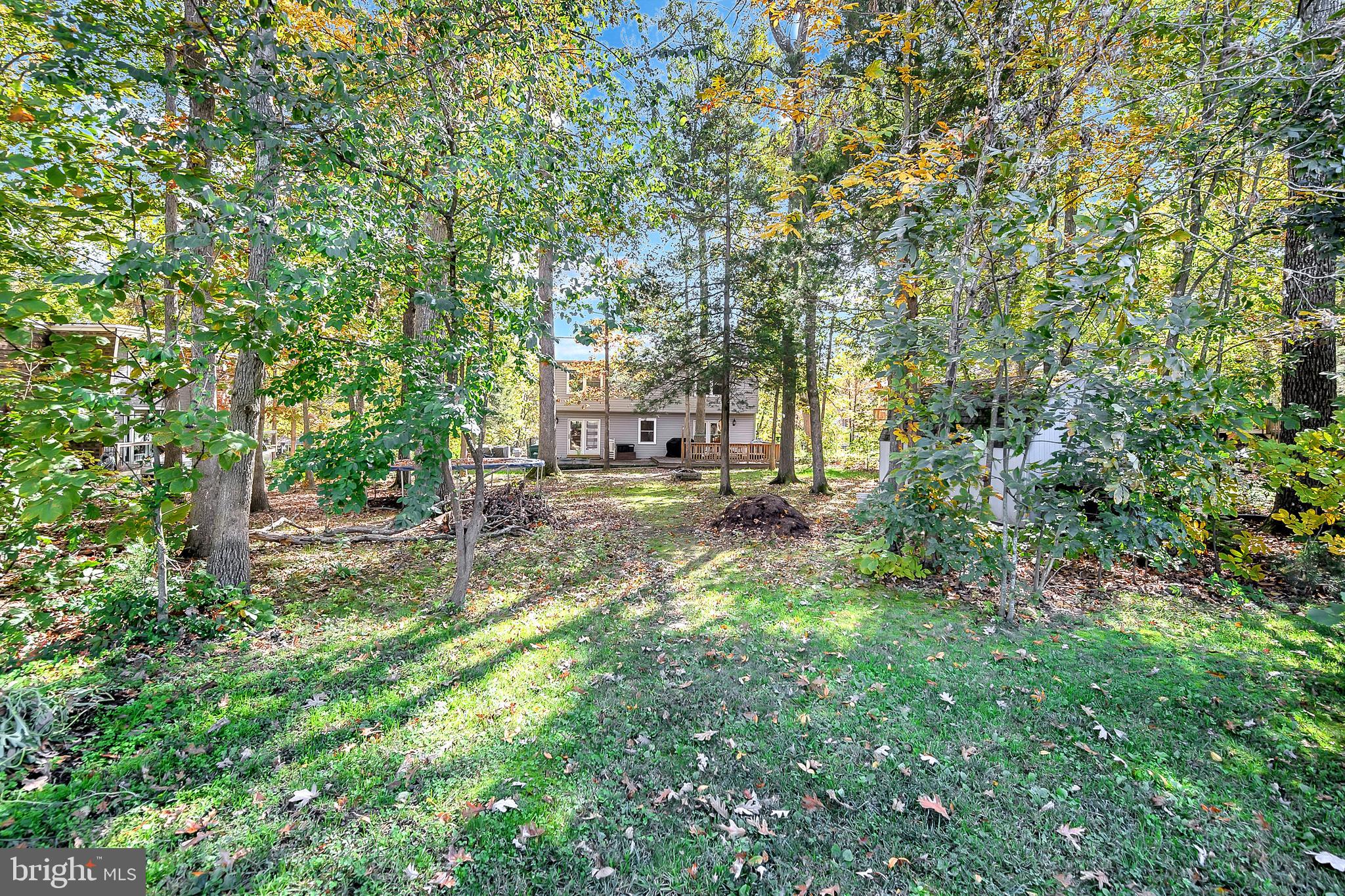 LAKE OF THE WOODS - Residential