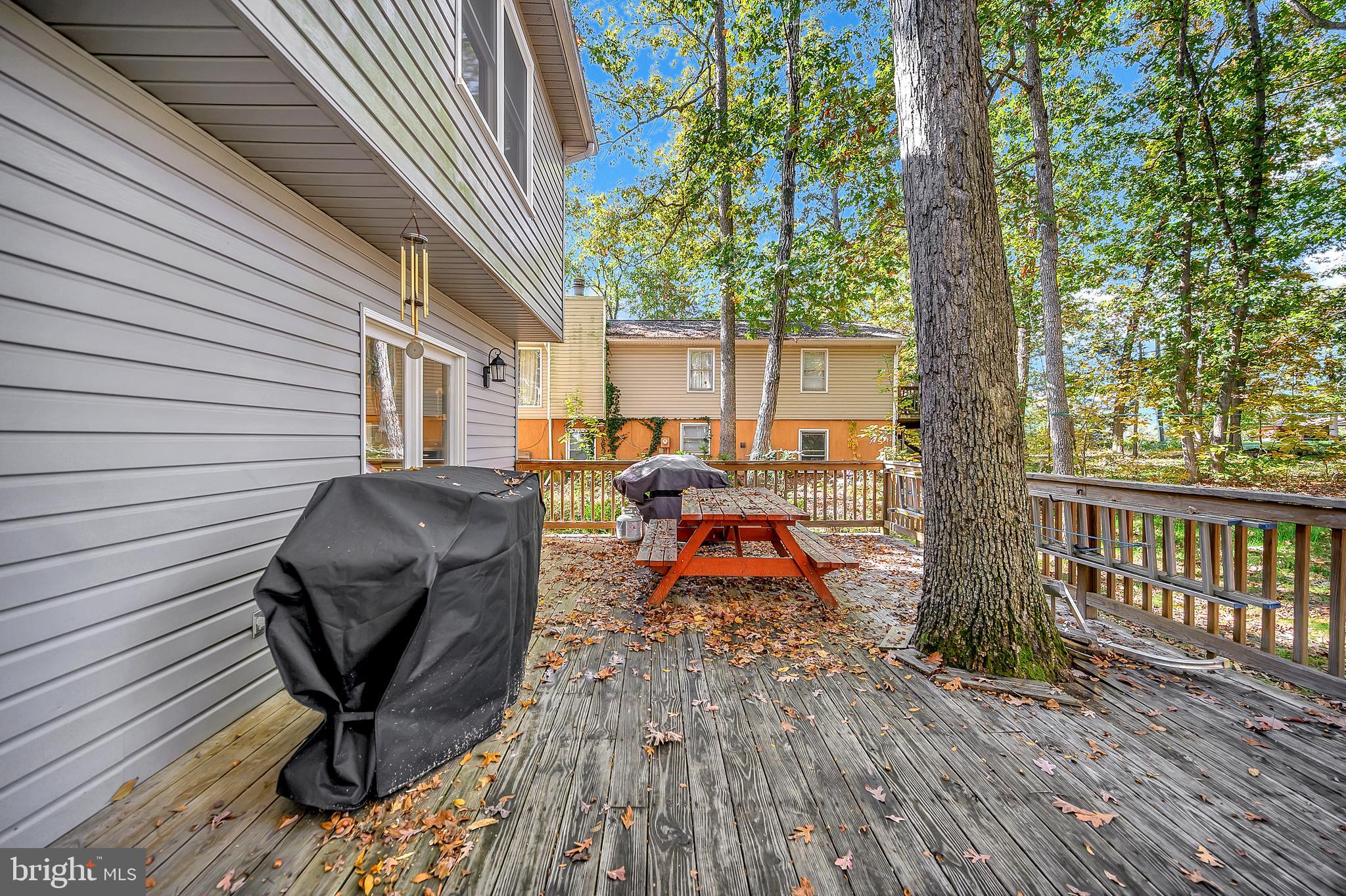 LAKE OF THE WOODS - Residential