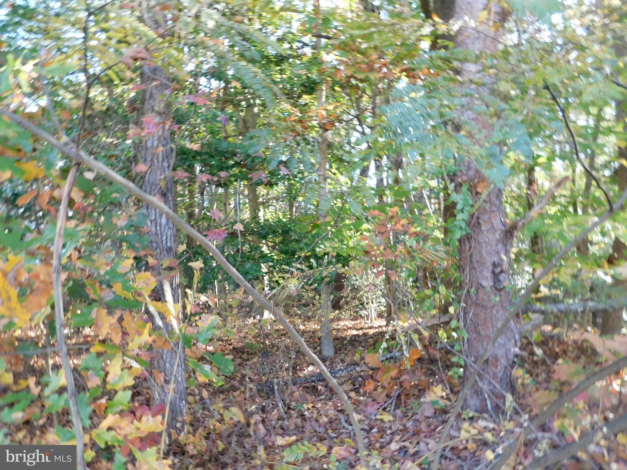 PLACID BAY ESTATES - Land