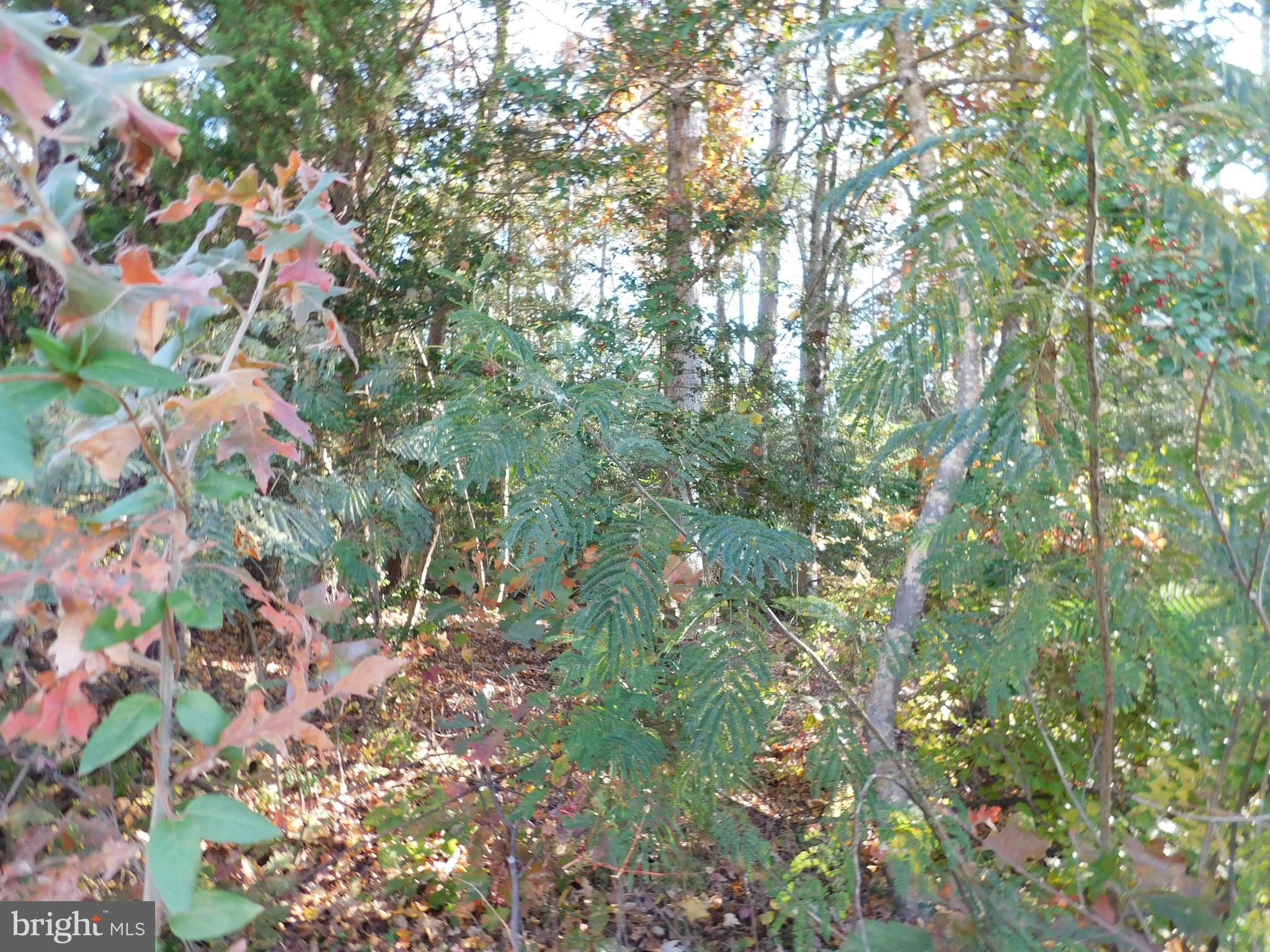 PLACID BAY ESTATES - Land