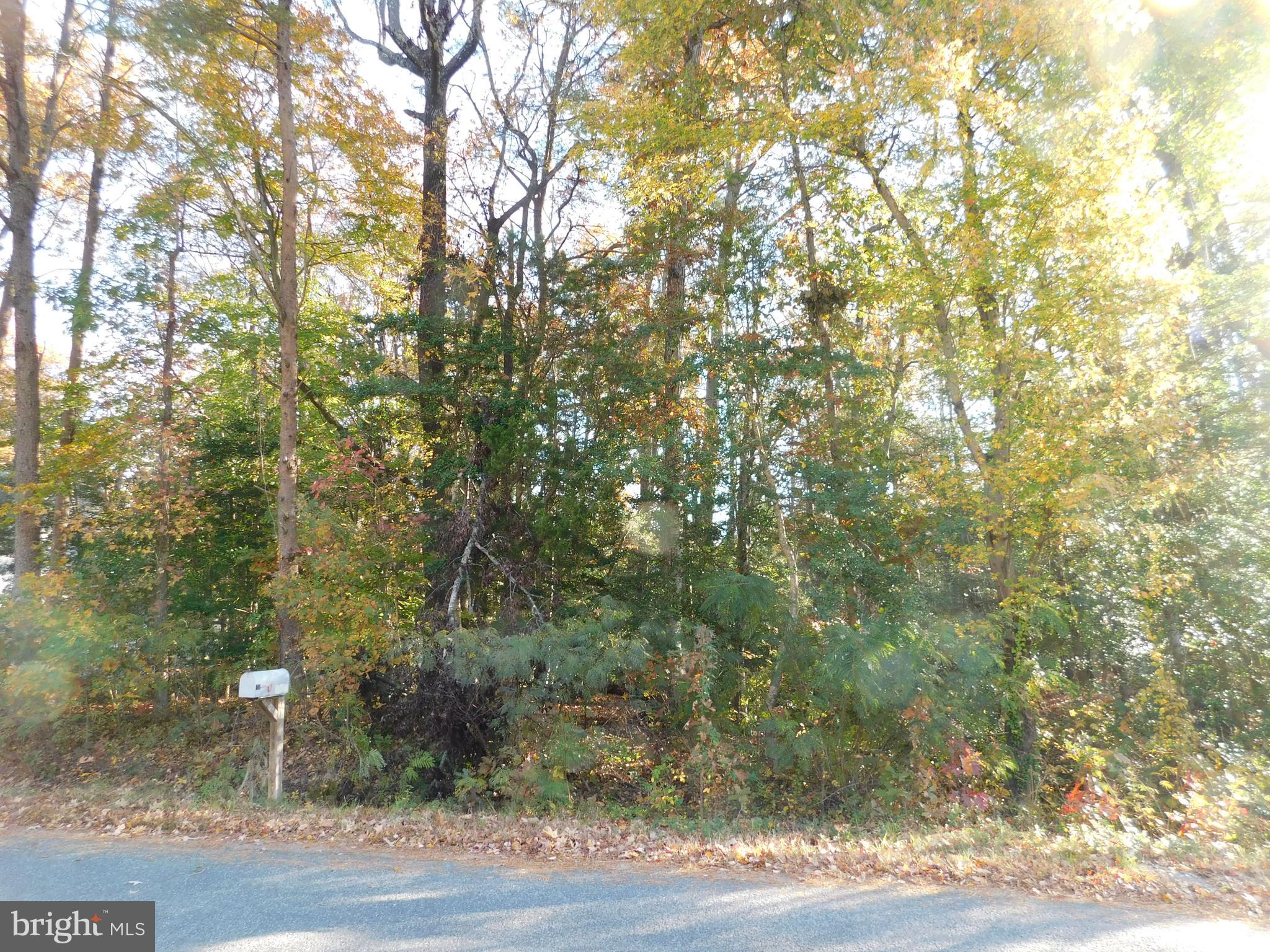 PLACID BAY ESTATES - Land