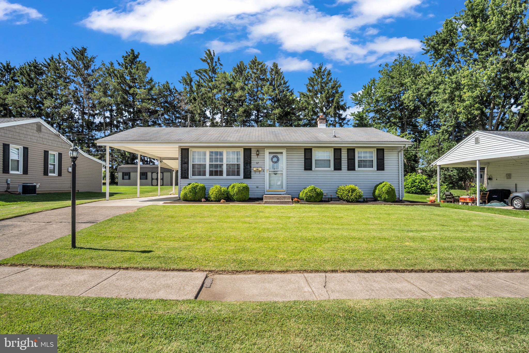 12 THEODORE AVENUE
