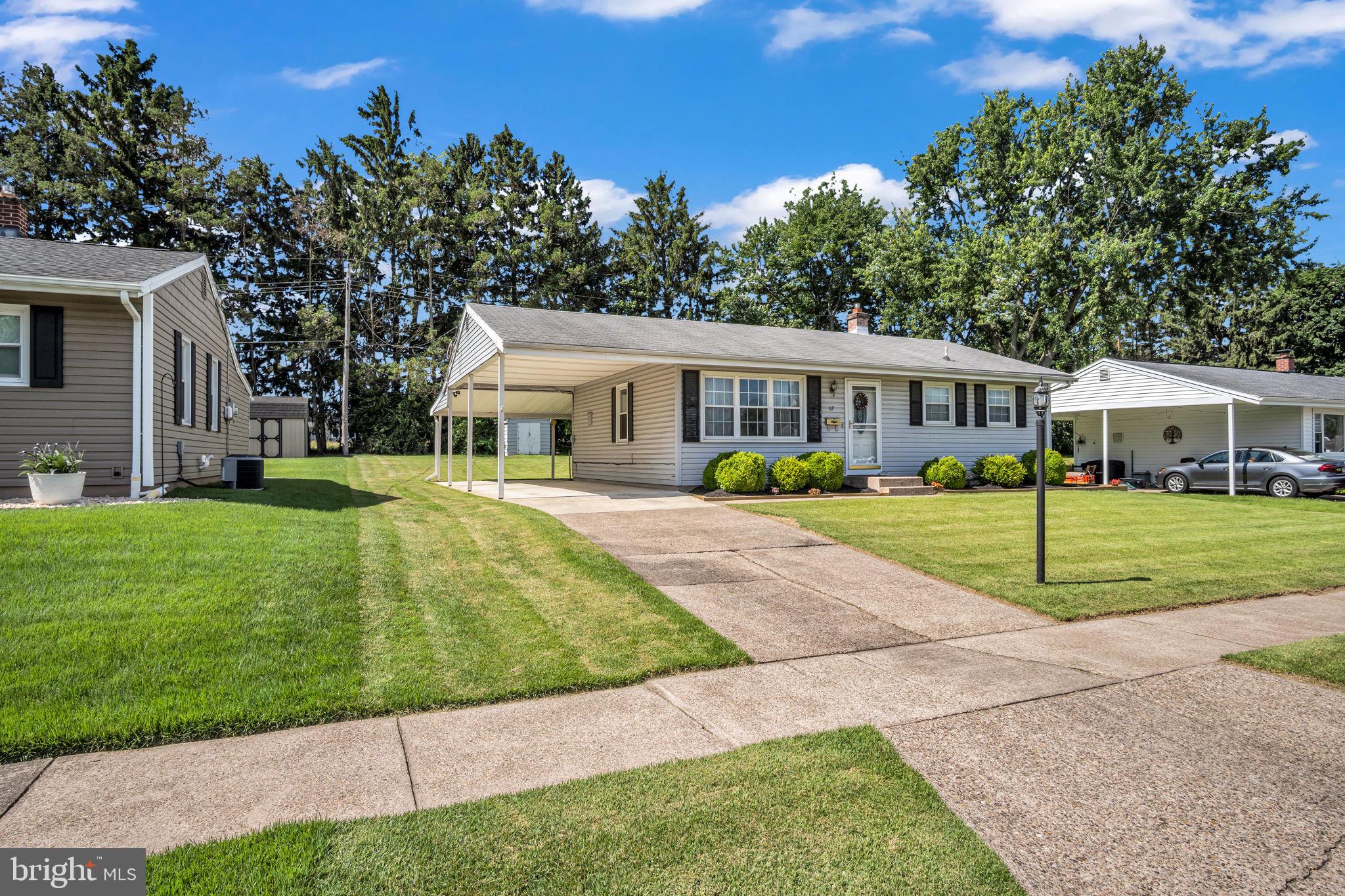 12 THEODORE AVENUE