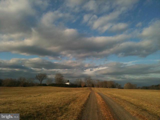 NONE AVAILABLE - Farm