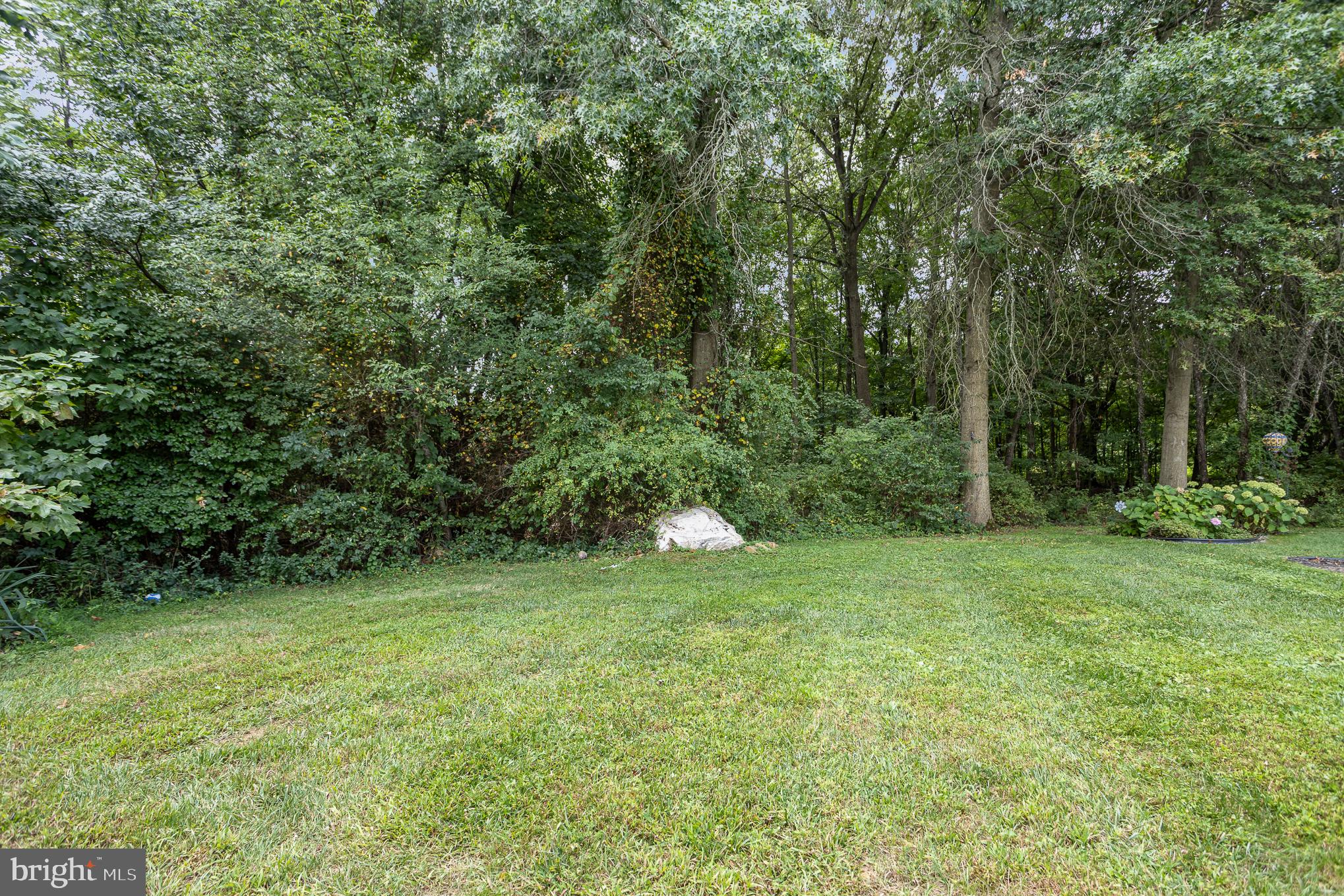 DEER SPRING - Residential