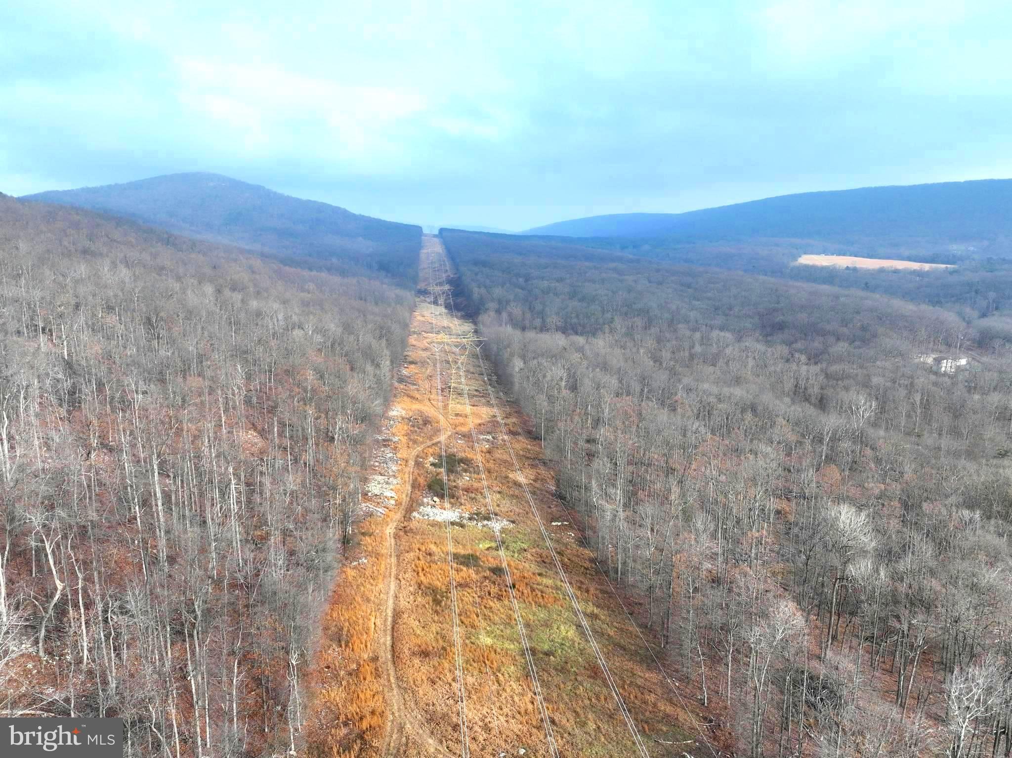 WHISPERING PINES - Land