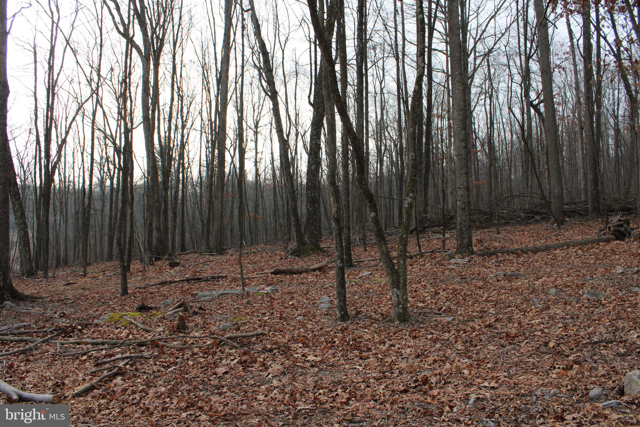 WHISPERING PINES - Land