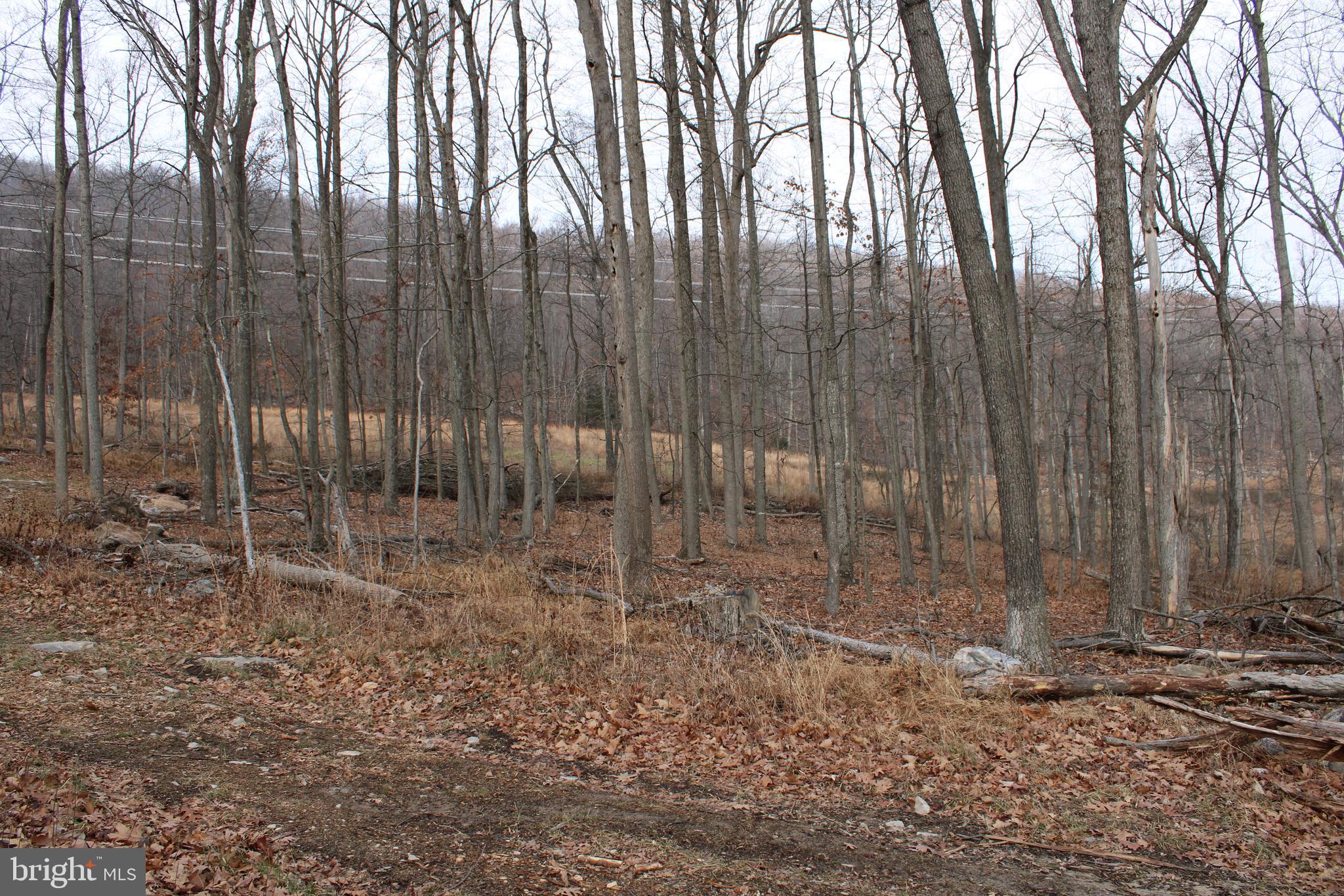 WHISPERING PINES - Land