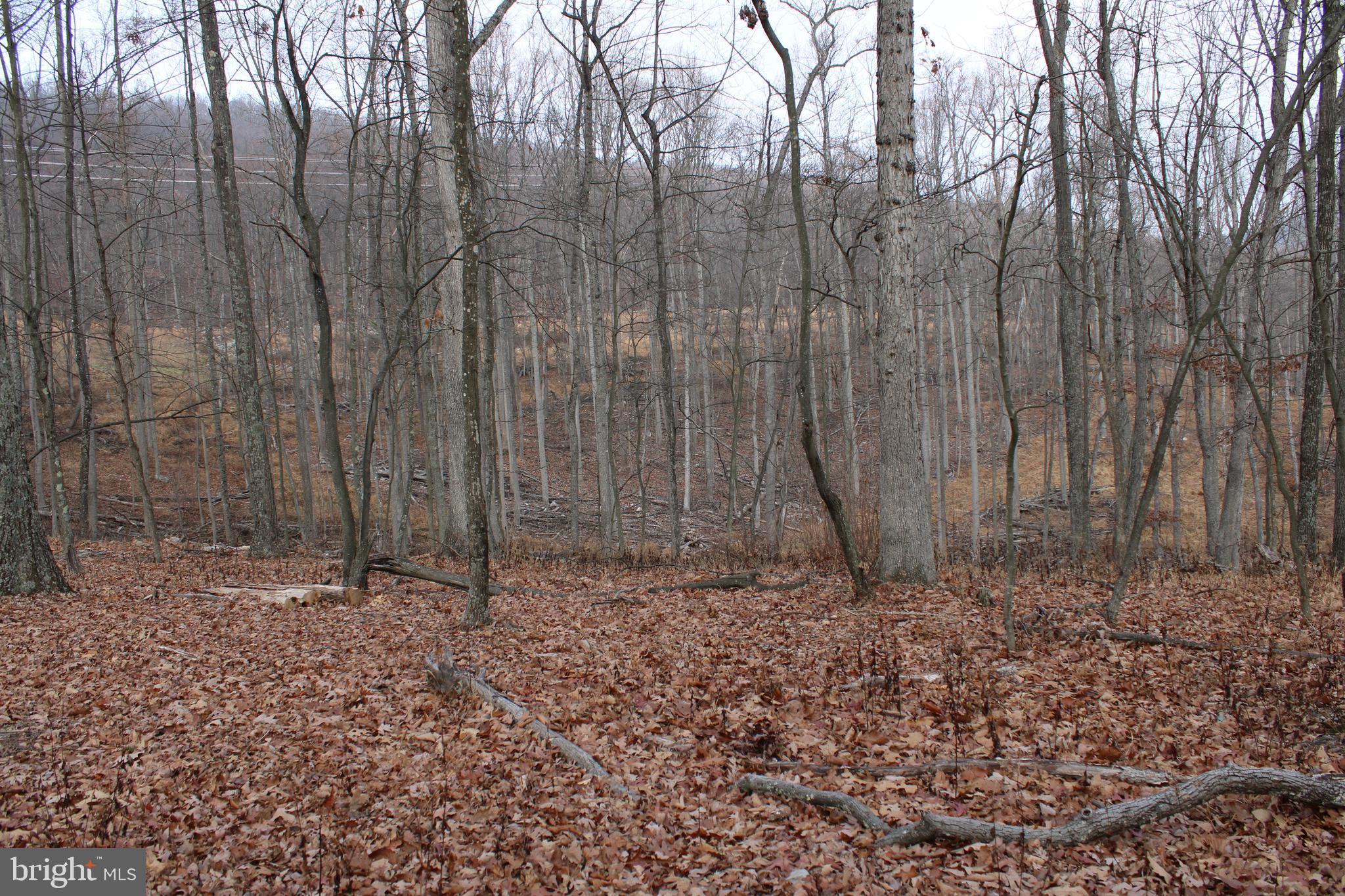 WHISPERING PINES - Land