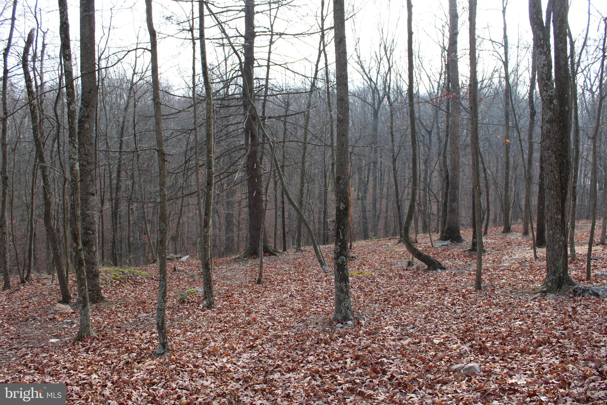 WHISPERING PINES - Land