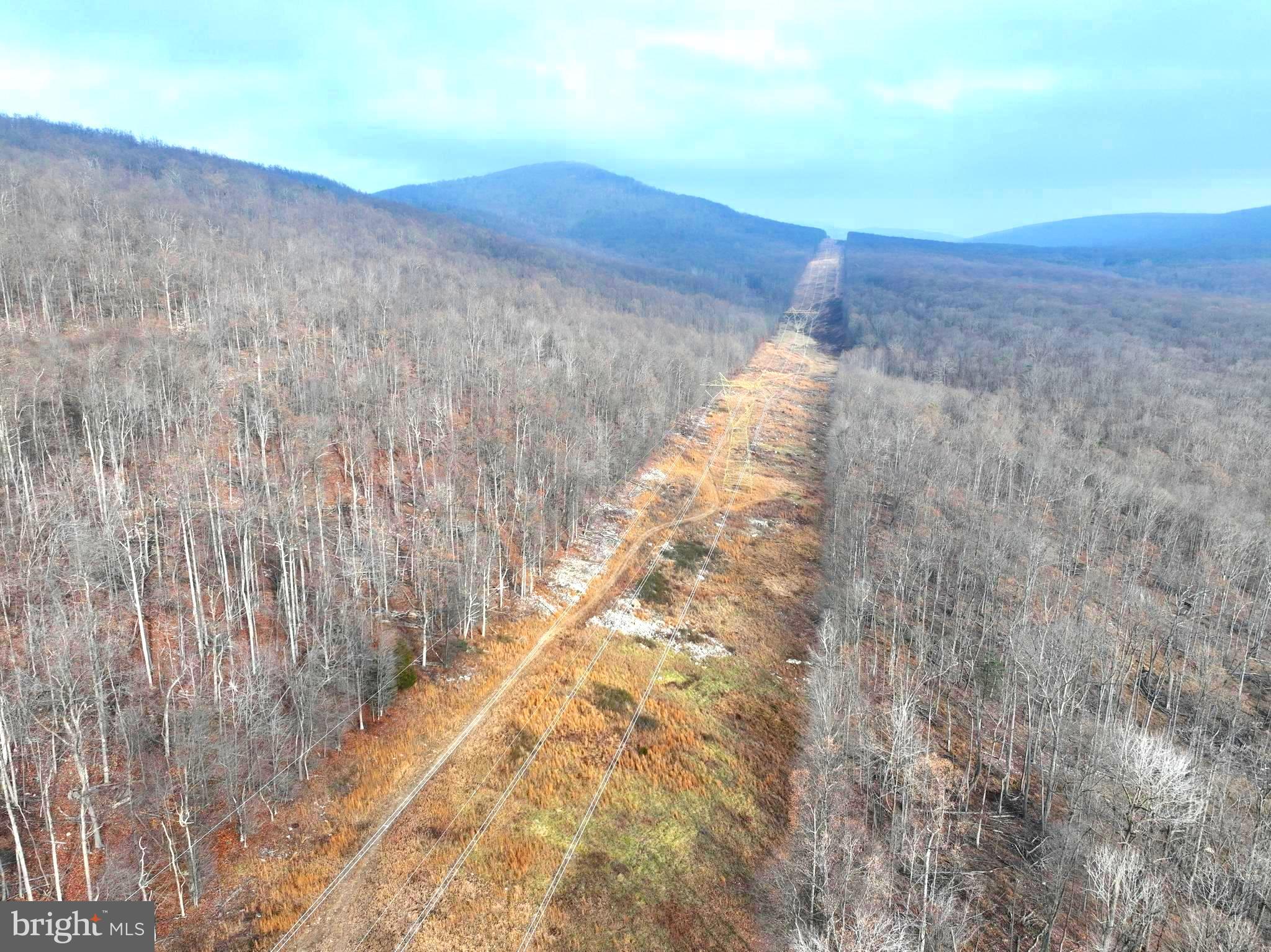 WHISPERING PINES - Land