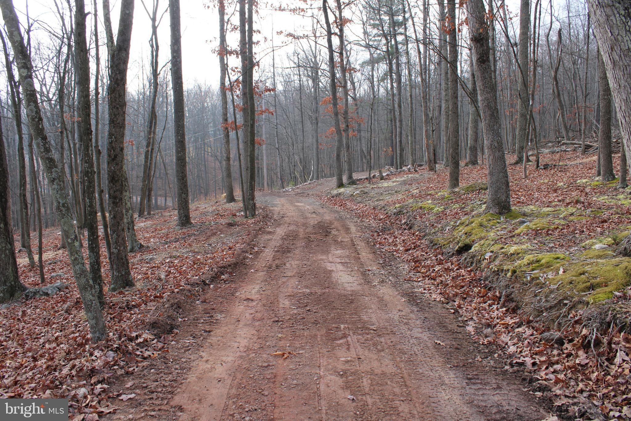 WHISPERING PINES - Land