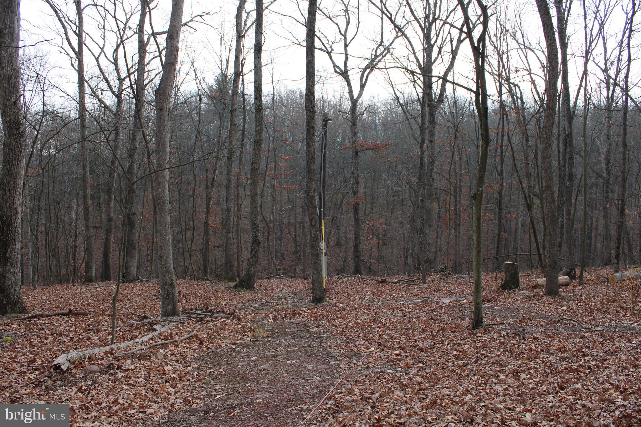 WHISPERING PINES - Land