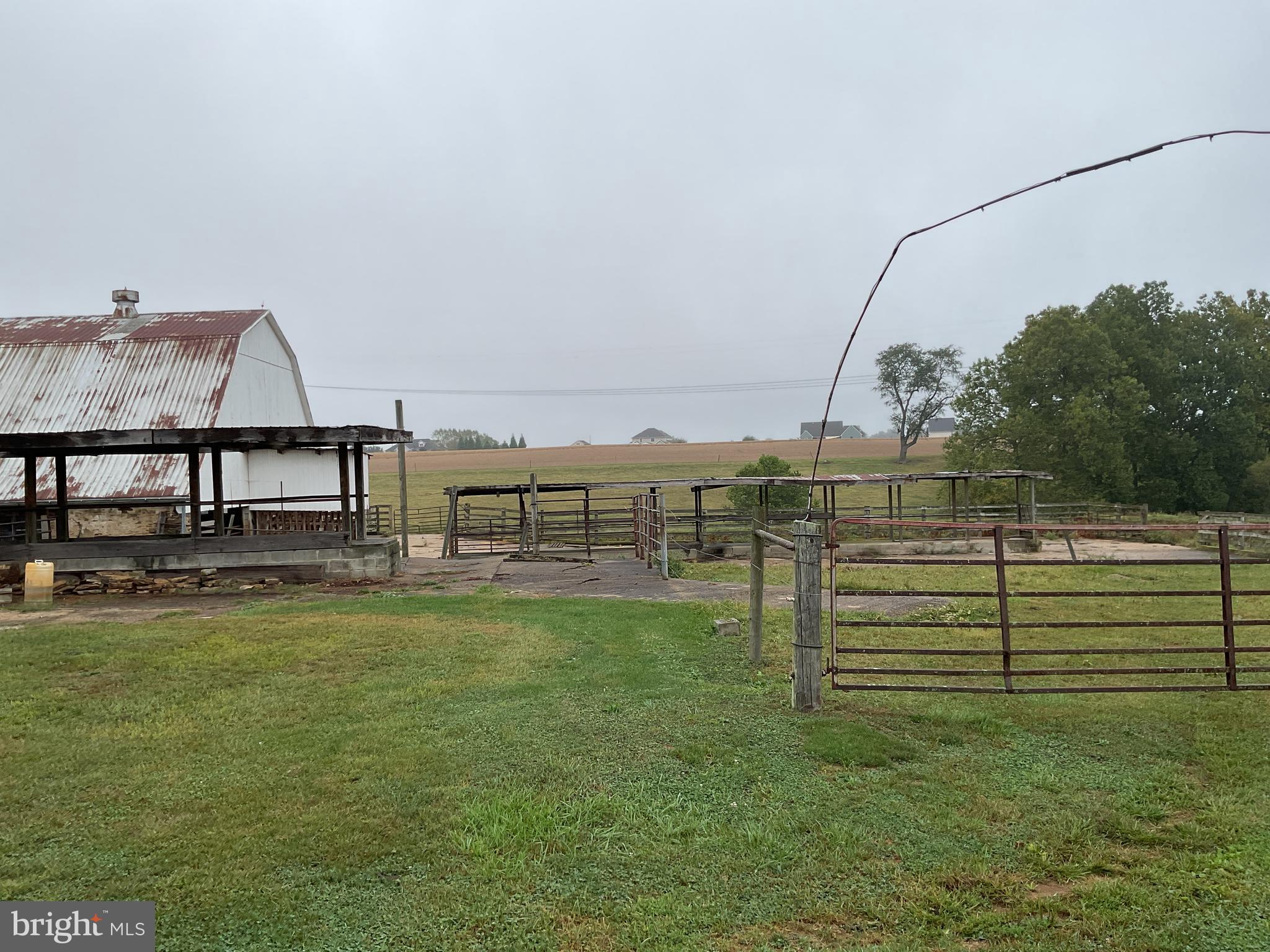NONE AVAILABLE - Farm