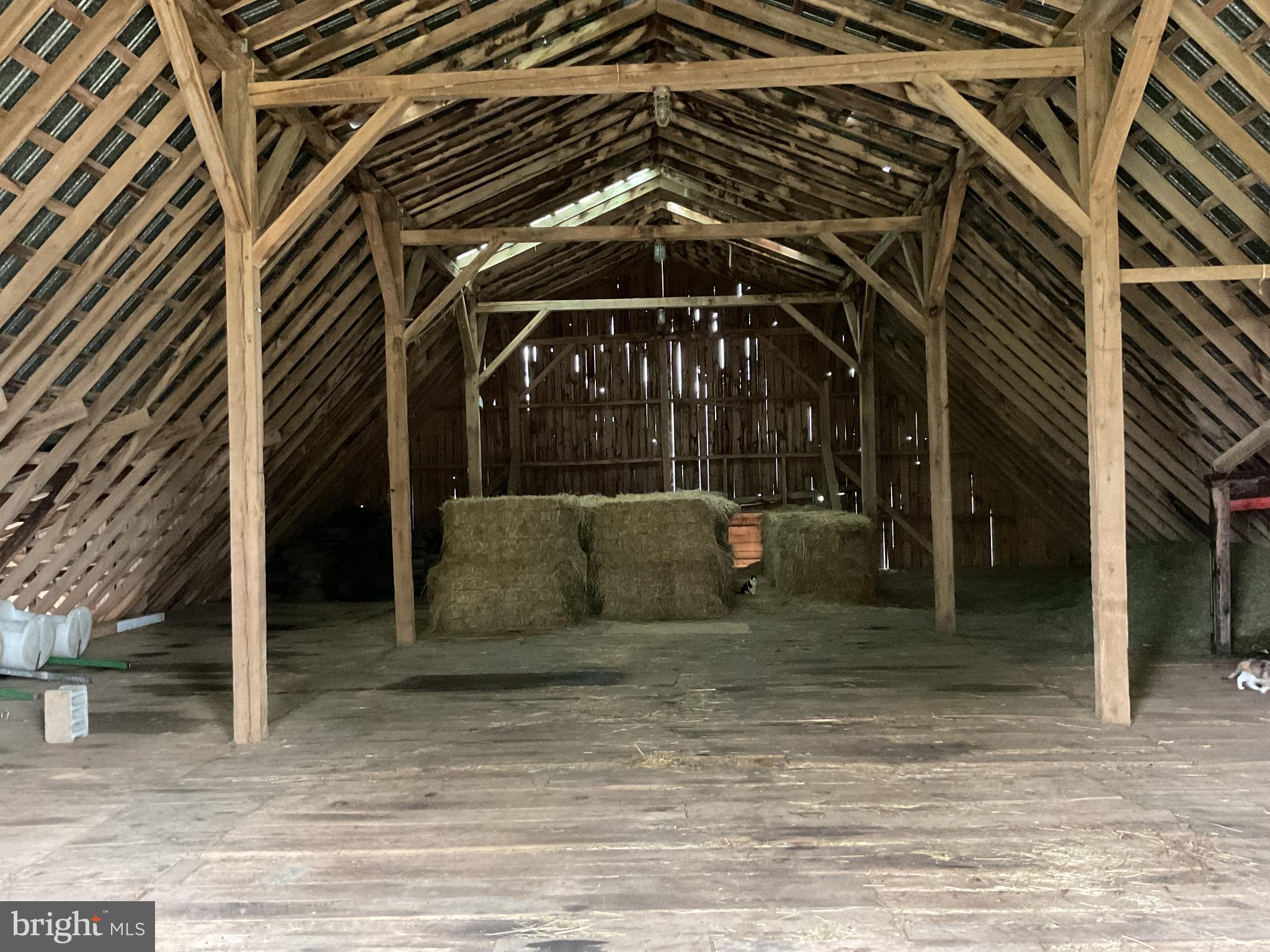 NONE AVAILABLE - Farm