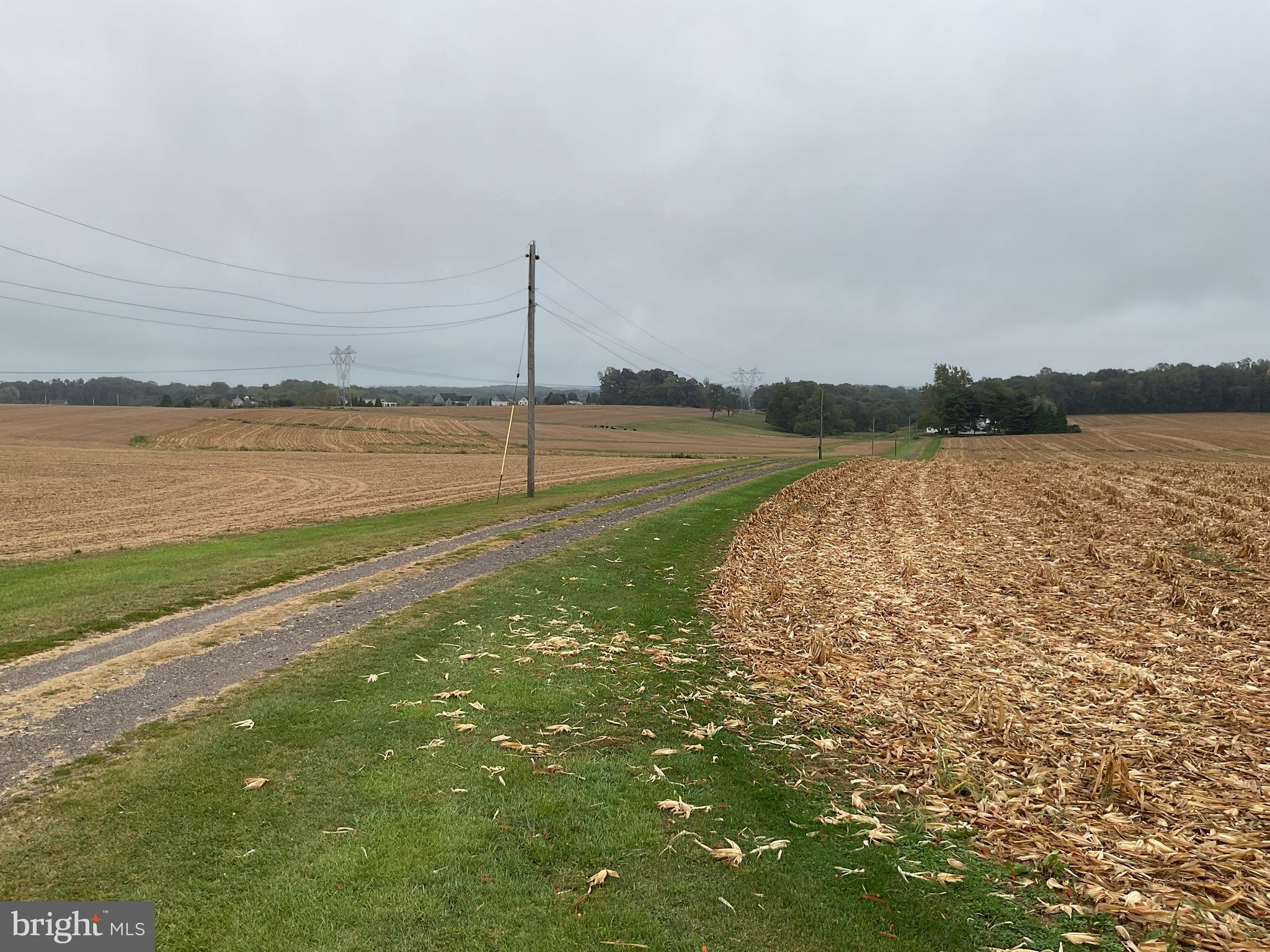NONE AVAILABLE - Farm