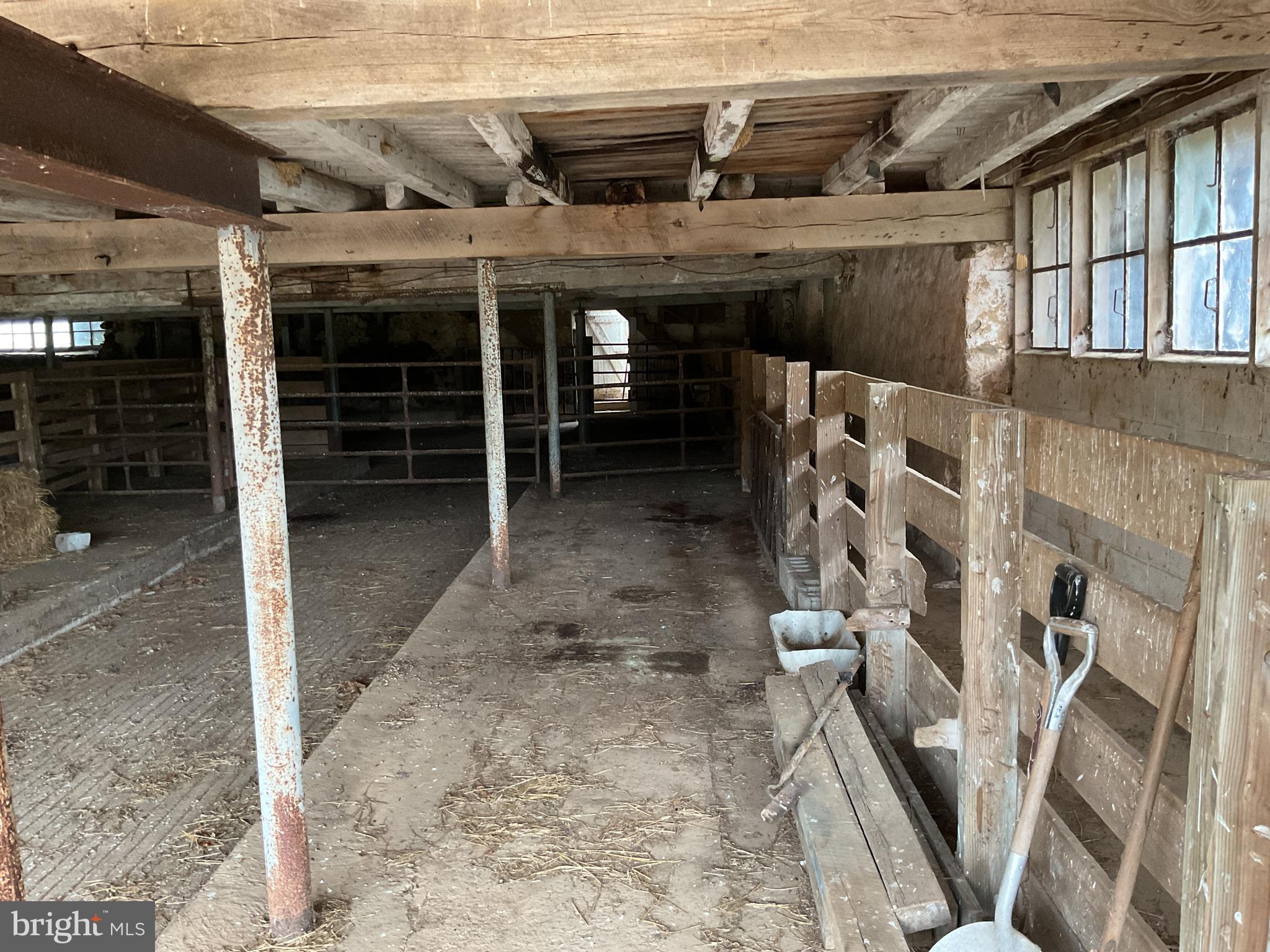 NONE AVAILABLE - Farm