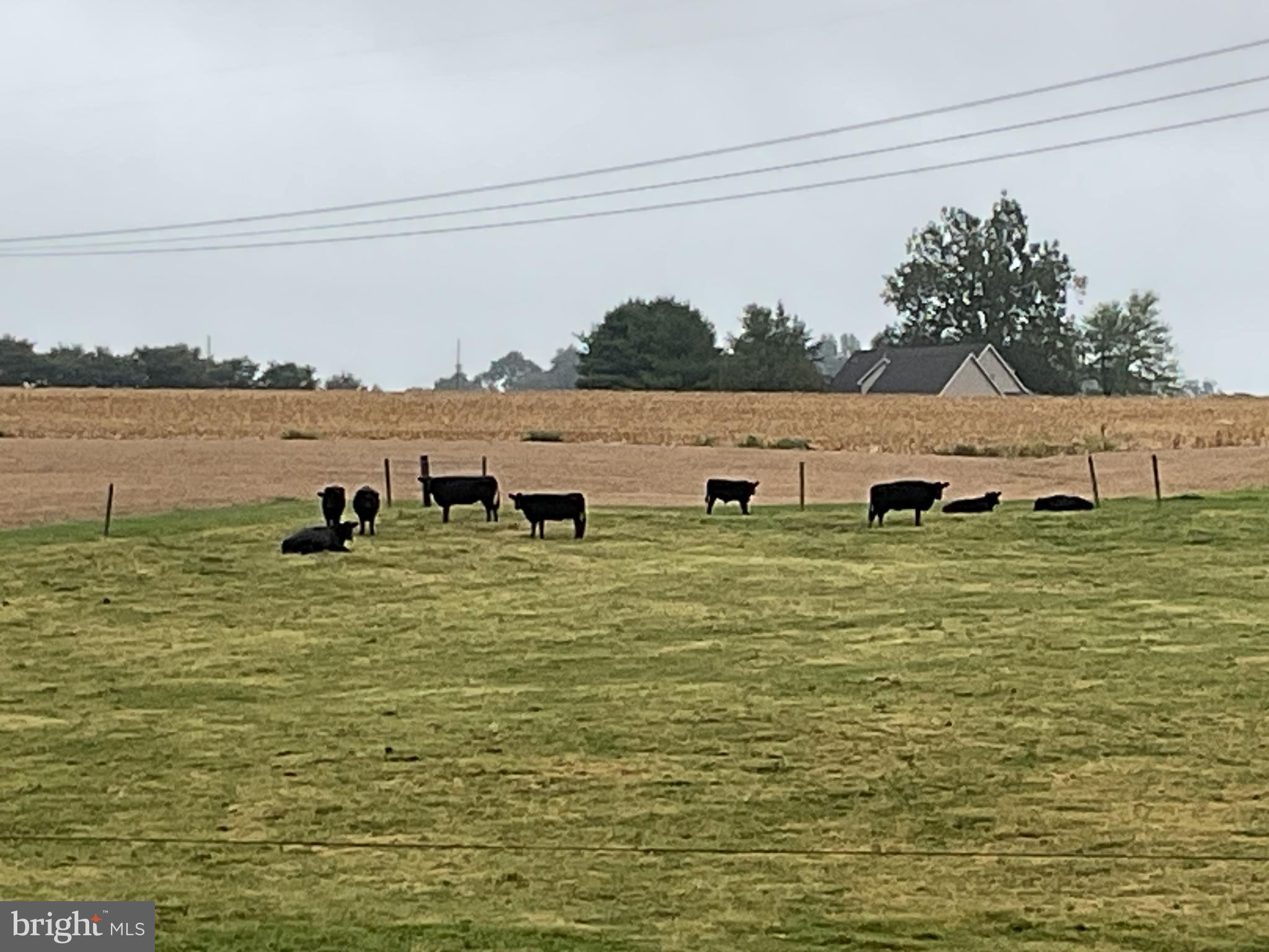 NONE AVAILABLE - Farm