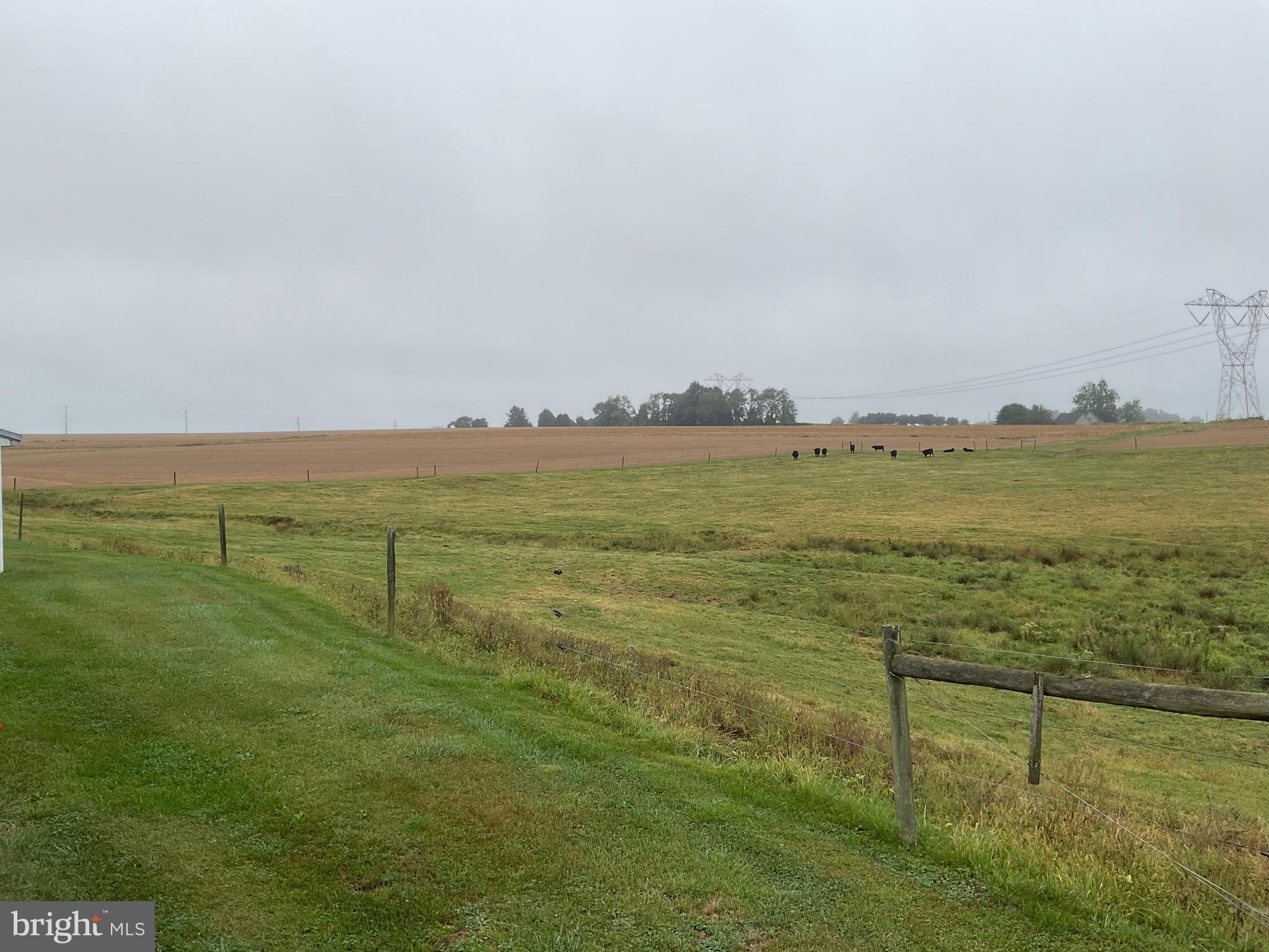 NONE AVAILABLE - Farm