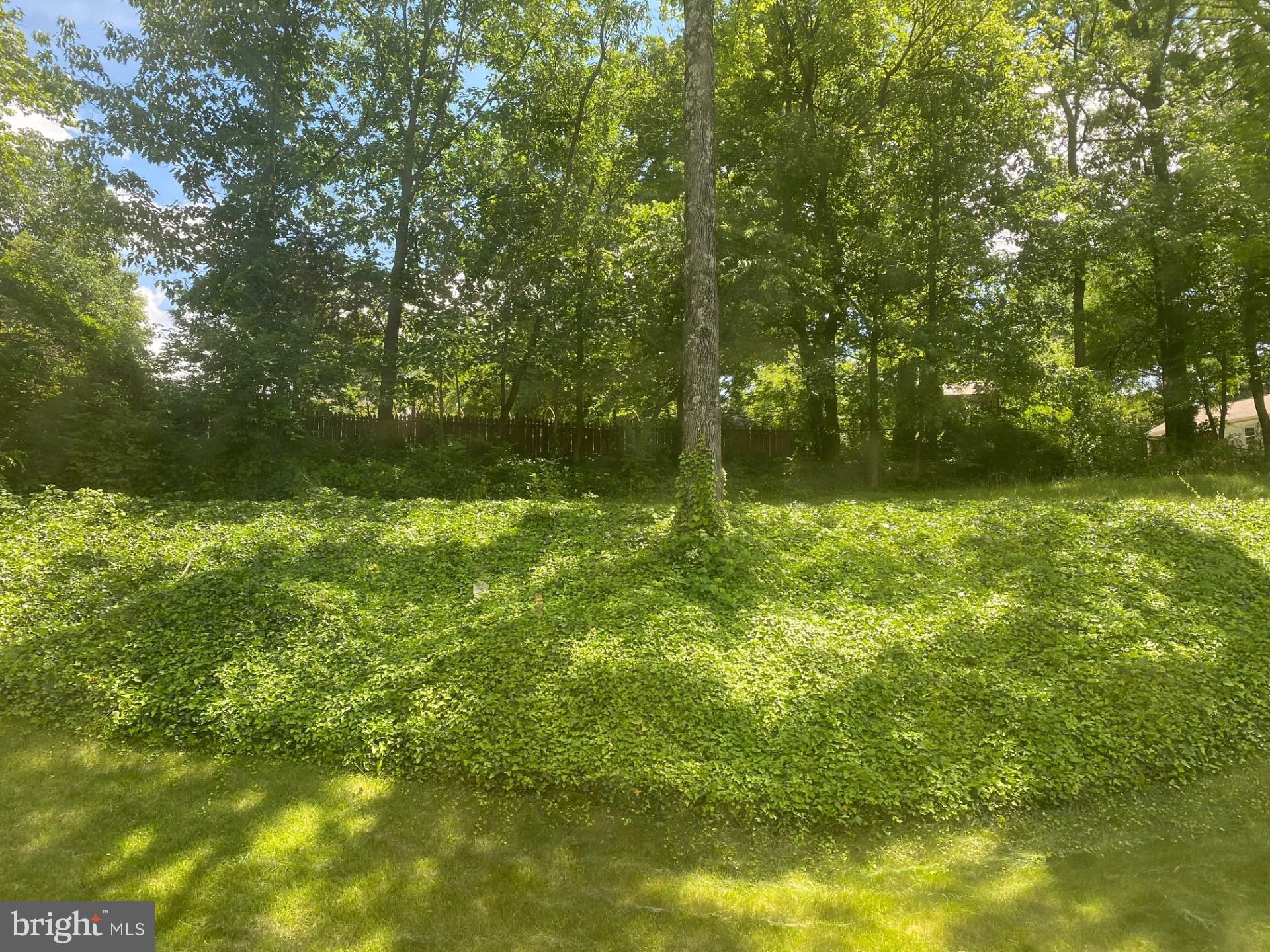 BERWYN HEIGHTS - Residential