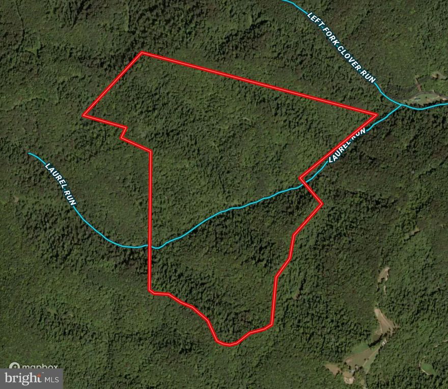 Welcome to wild and wonderful West Virginia on this 189 acres of pure outdoor adventure waiting for you. This property consists of two parcels of land accompanied by a deeded right of way bringing you back to the ultimate escape for seclusion and privacy. At the property you will find yourself surrounded by the Monongahela National Forest managed by the USDA Forest Service. The property consists of mature timber mixed hardwoods and pines, along with several mountain streams, and a large creek, Laurel Run that flows through the property. There is an old cabin on the property that is currently inhabitable, and entry is NOT RECOMMENDED! This property is priced well below market value since a timber cut has been sold on the property. The cut will be started towards the end of summer / early fall of 2024. The timber cut is based on a 14" DBH. This is your chance to own an incredible piece of raw land, and work with the logger to shape the property for your future use. Working with the logger to put in a road system, open up areas for future food plots, and or a cabin will save a prospective buyer significant time and money. If you are a hunter looking for great hunting, look no further on this one, and work to create the ultimate wildlife property, to include food plots, bedding areas, and plenty of sanctuary. Working with the logger gives the prospective buyer the chance to design the cut to enhance the wildlife value, create a great road system and access, as well as improve hunting opportunities on the property. Come take a look, and let your imagination run wild on this one!