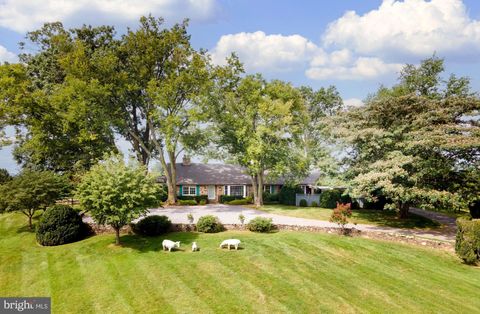 35771 SNAKE HILL ROAD MIDDLEBURG VA 20117