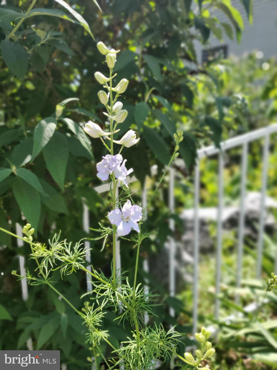 NORTH END - Residential
