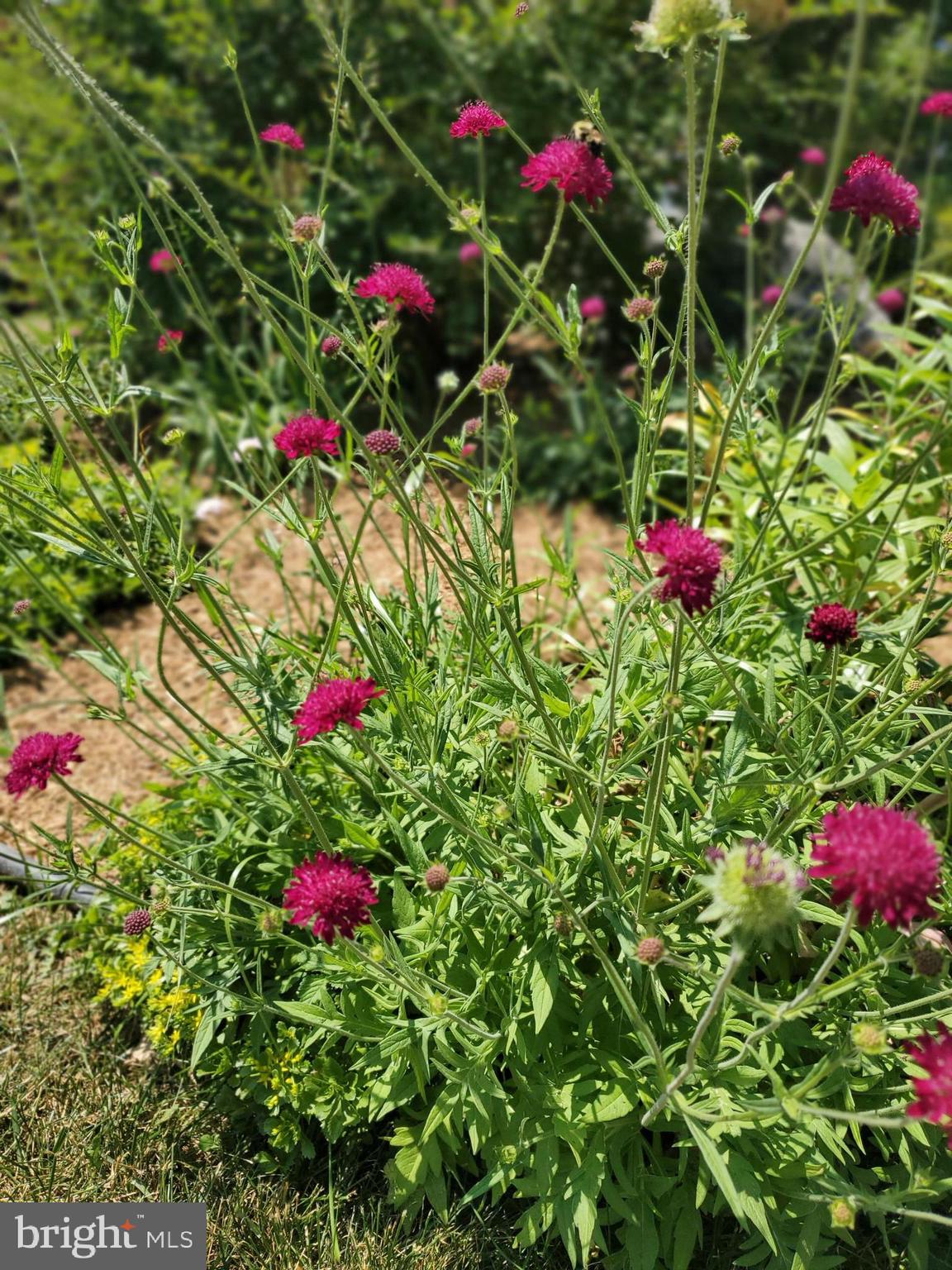 NORTH END - Residential