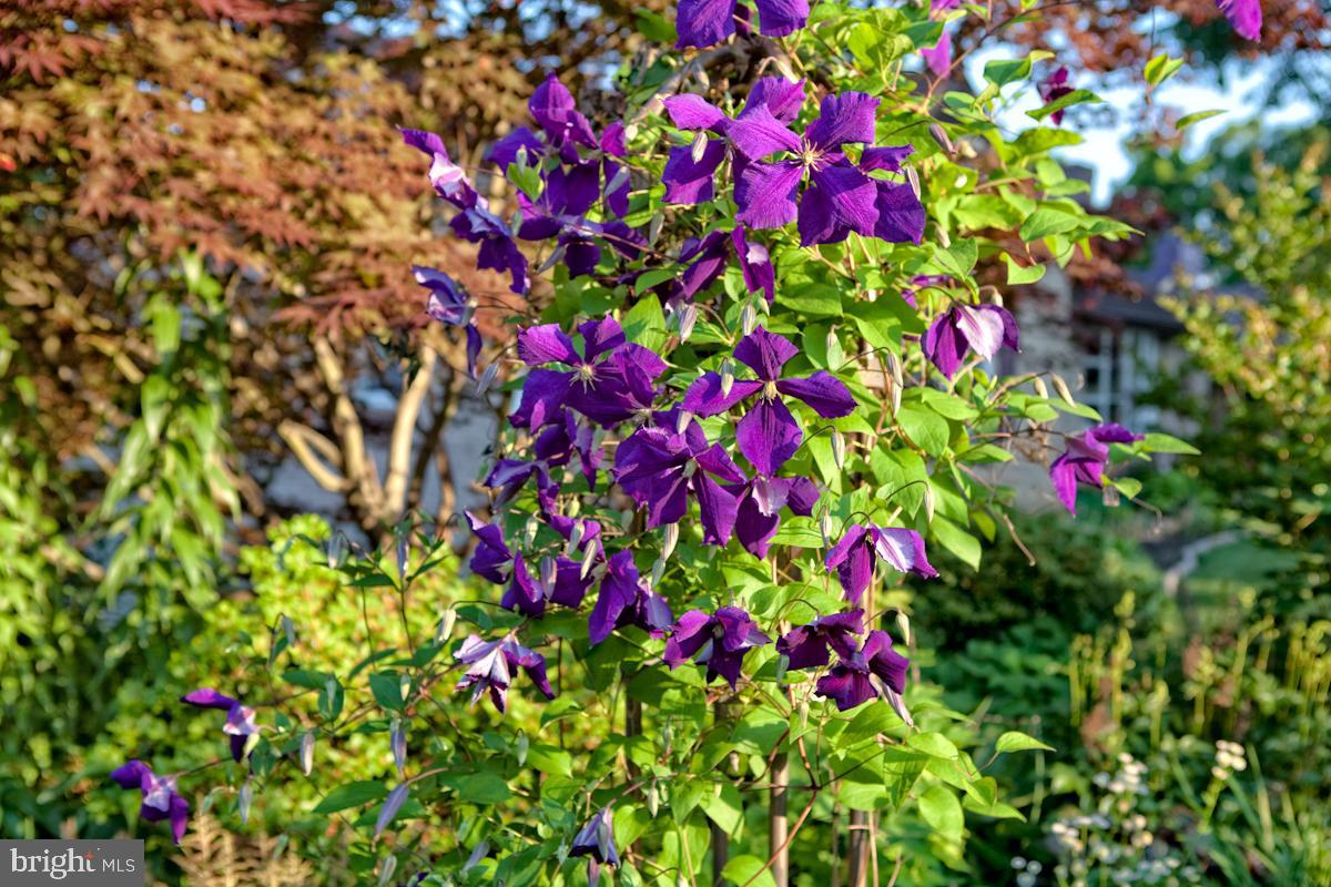 NORTH END - Residential