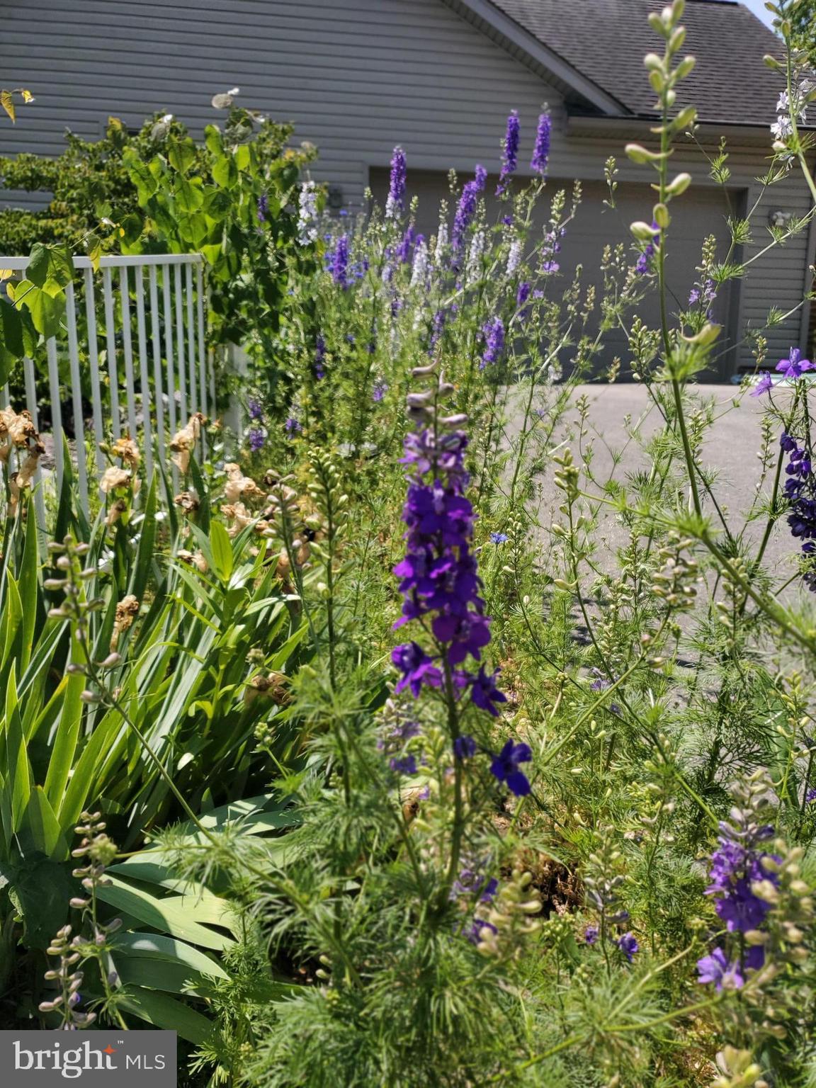 NORTH END - Residential