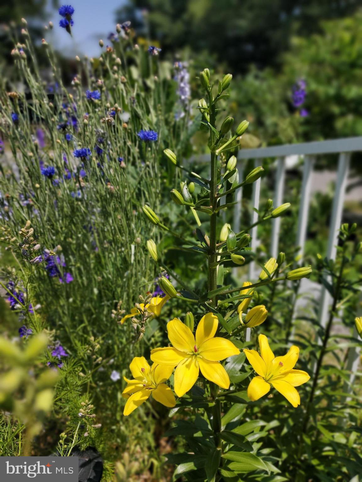 NORTH END - Residential