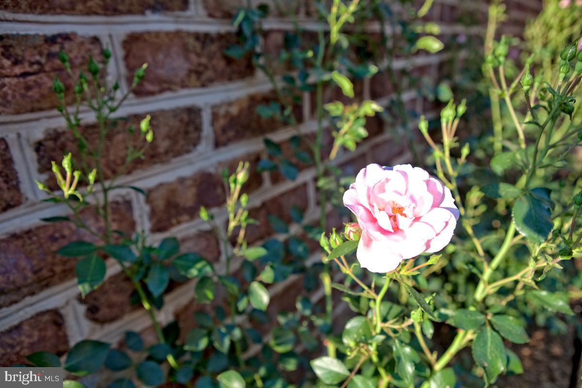 NORTH END - Residential