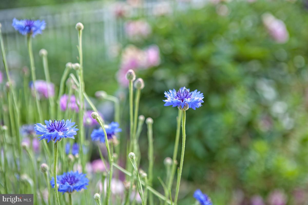 NORTH END - Residential