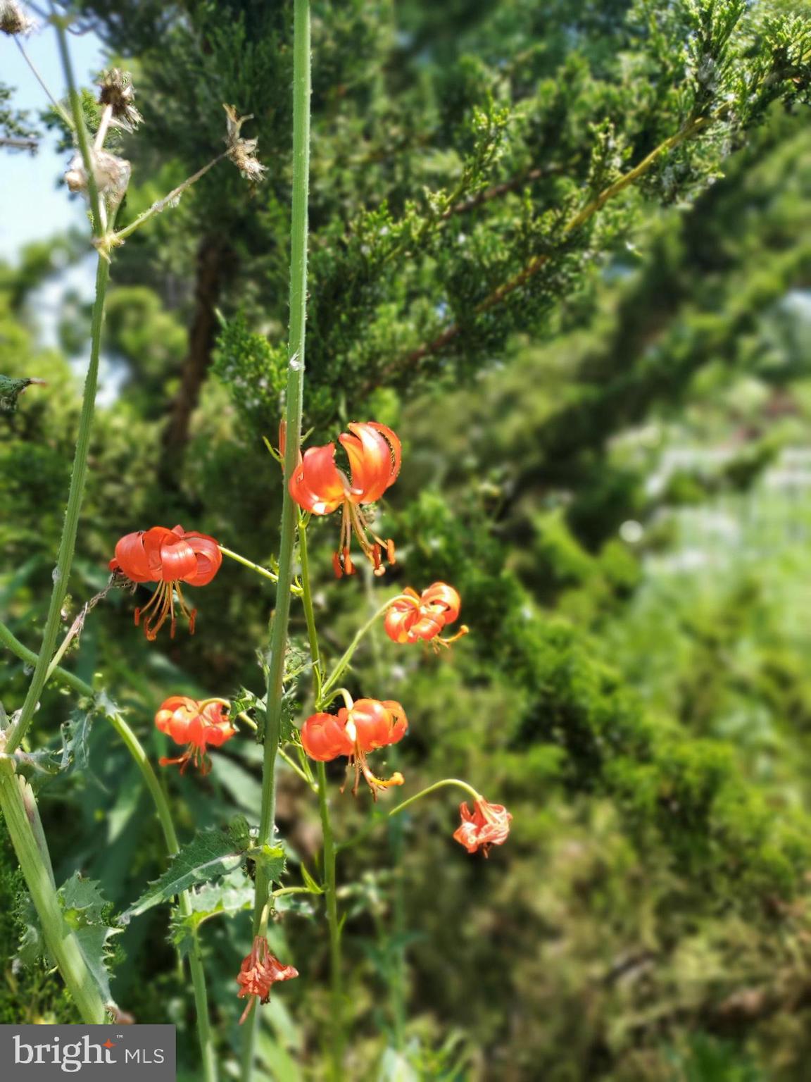 NORTH END - Residential