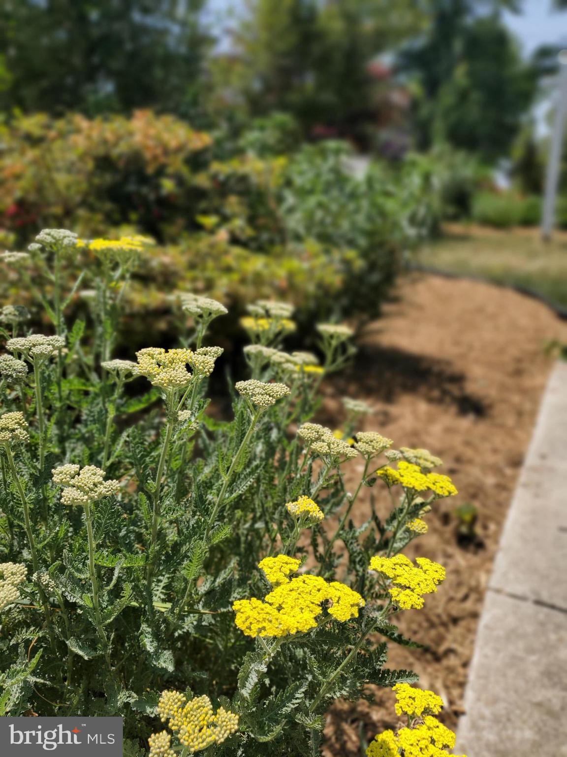 NORTH END - Residential