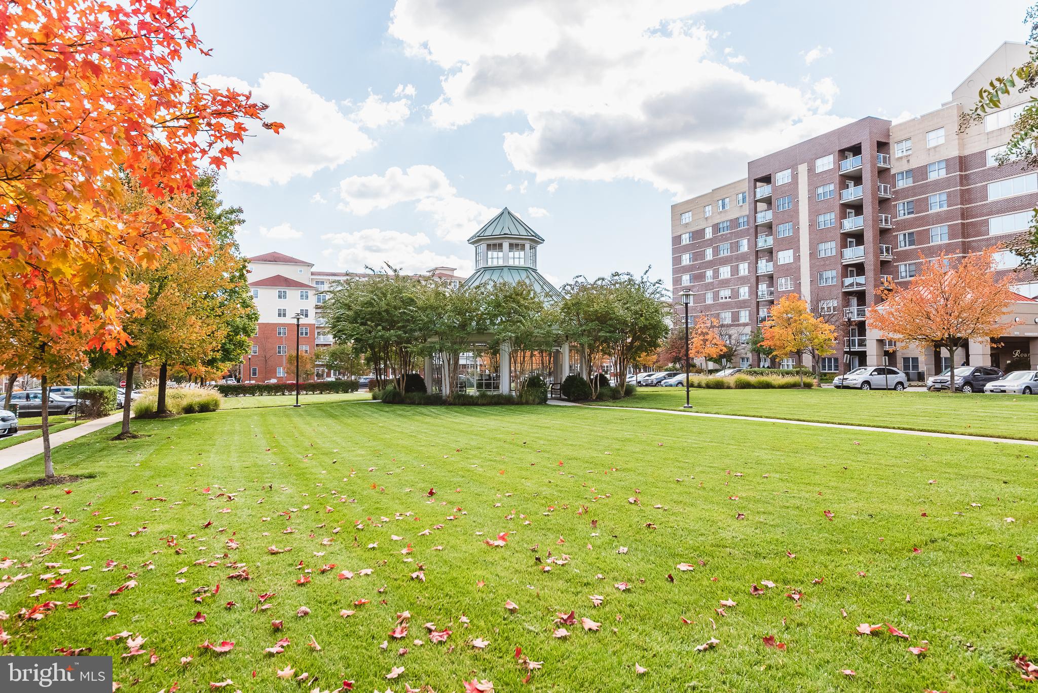 MAYS CHAPEL NORTH - Residential